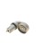 Натяжник ременя генератора Land Rover Discovery/Range Rover 2.7 TD 04-18