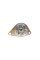 Помпа води Citroen C2/C3/Berlingo/Nemo/Peugeot 206/207/307/Bipper 1.1/1.4i 96- (WPQ0904)