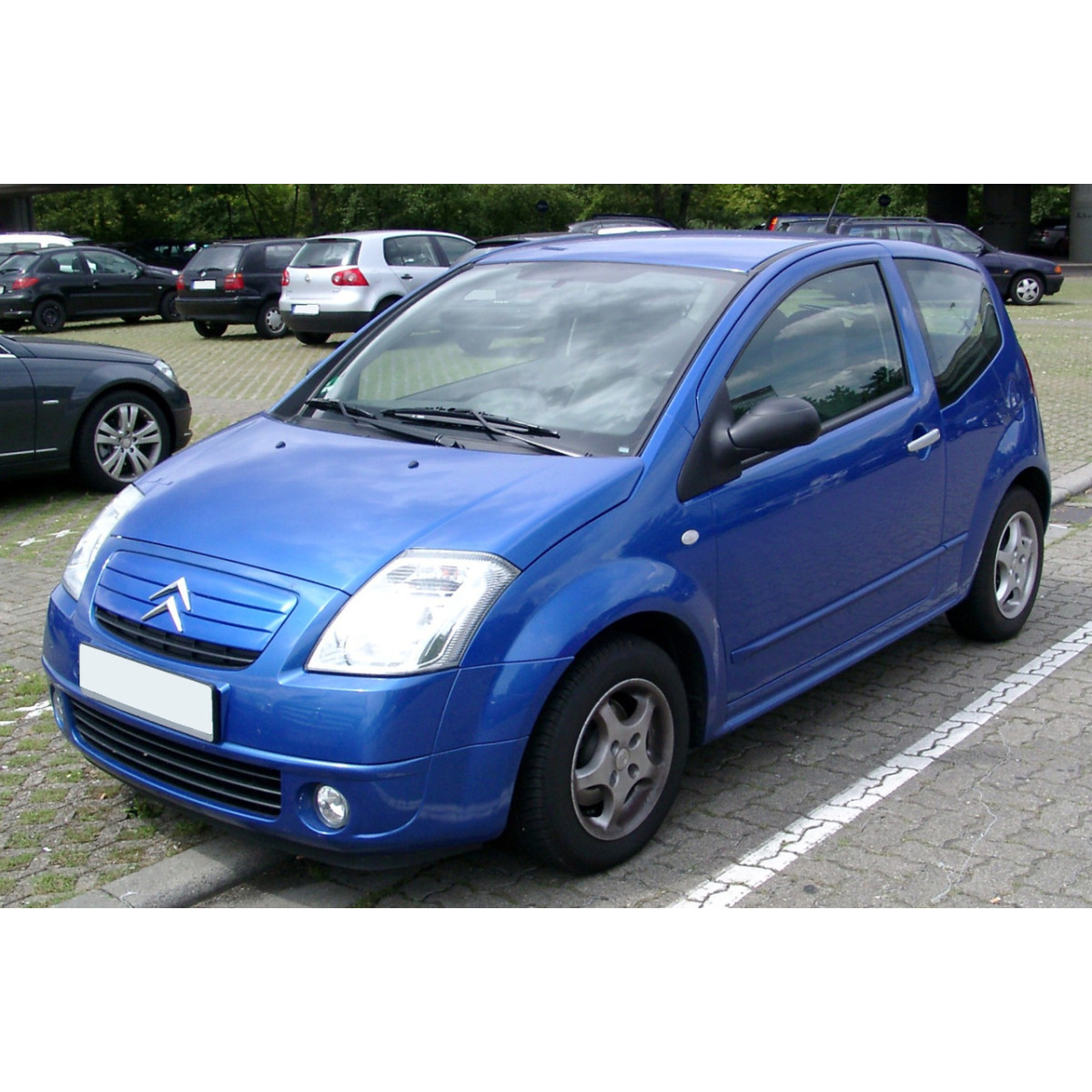 Ручка дверей зовнішня передня ліва CITROEN C2 / C3, PEUGEOT 307 2000-2009 / BLIC
