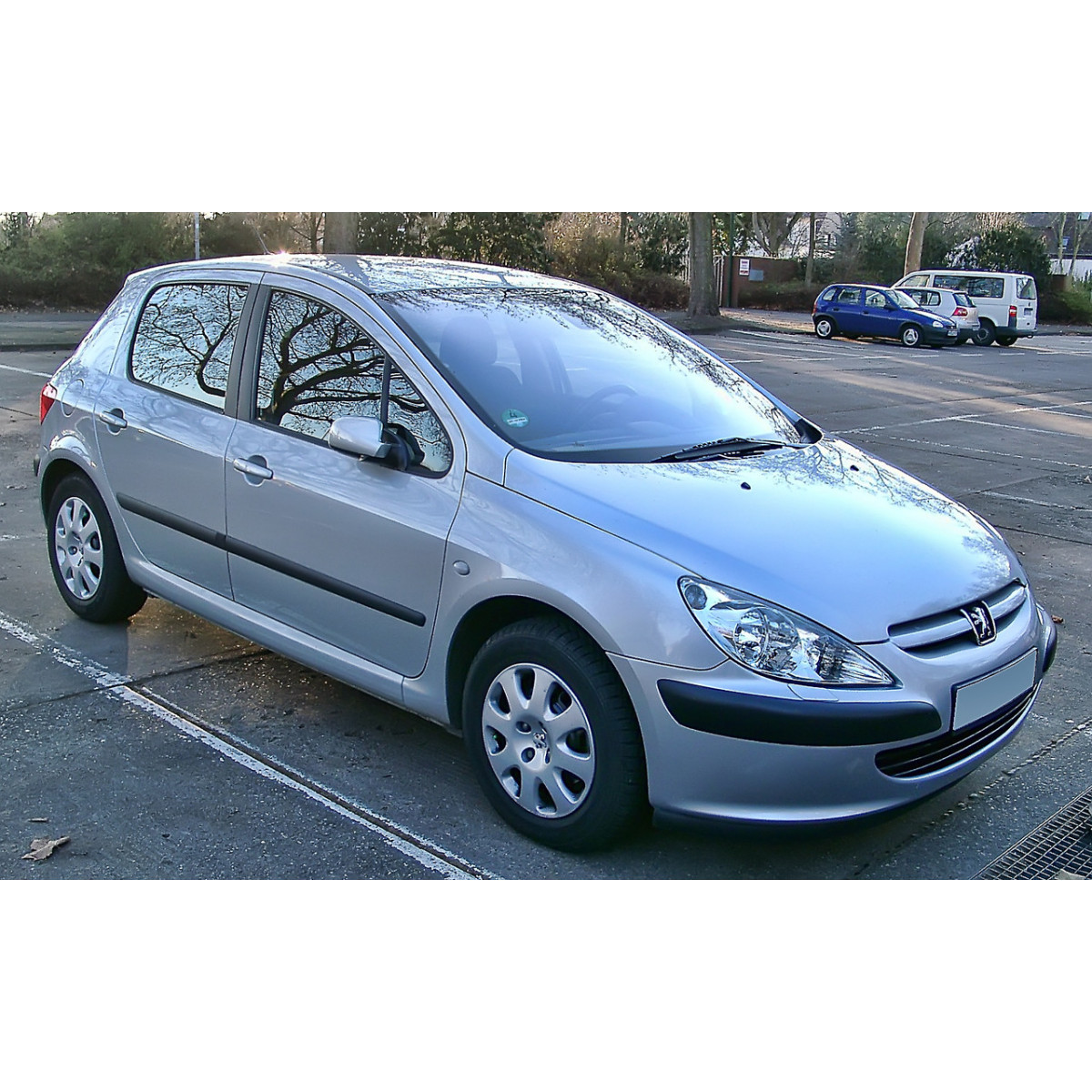 Ручка дверей зовнішня передня ліва CITROEN C2 / C3, PEUGEOT 307 2000-2009 / BLIC