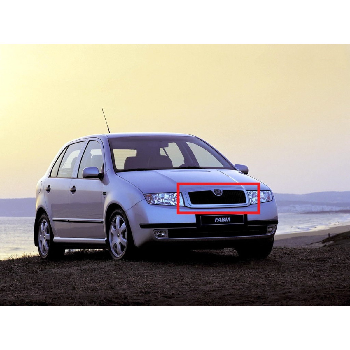 Решітка радіатора Шкода Фабія - Skoda Fabia 1999-2004