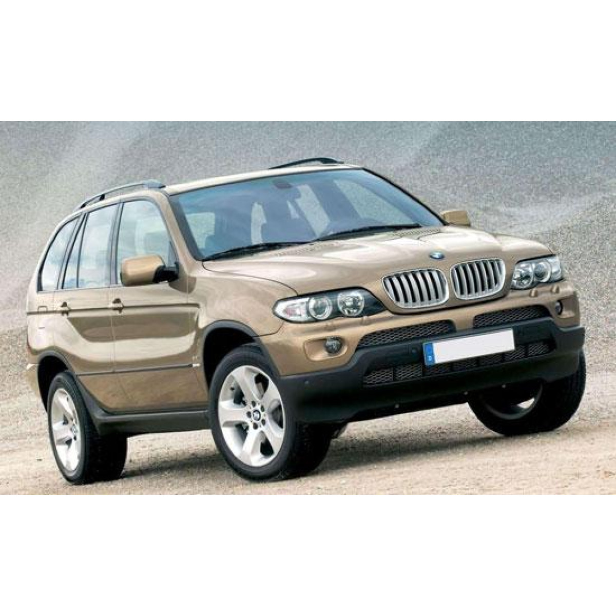 Решітка бампера БМВ Х5 Е53 - BMW X5 E53 2003-2006 (комплект)