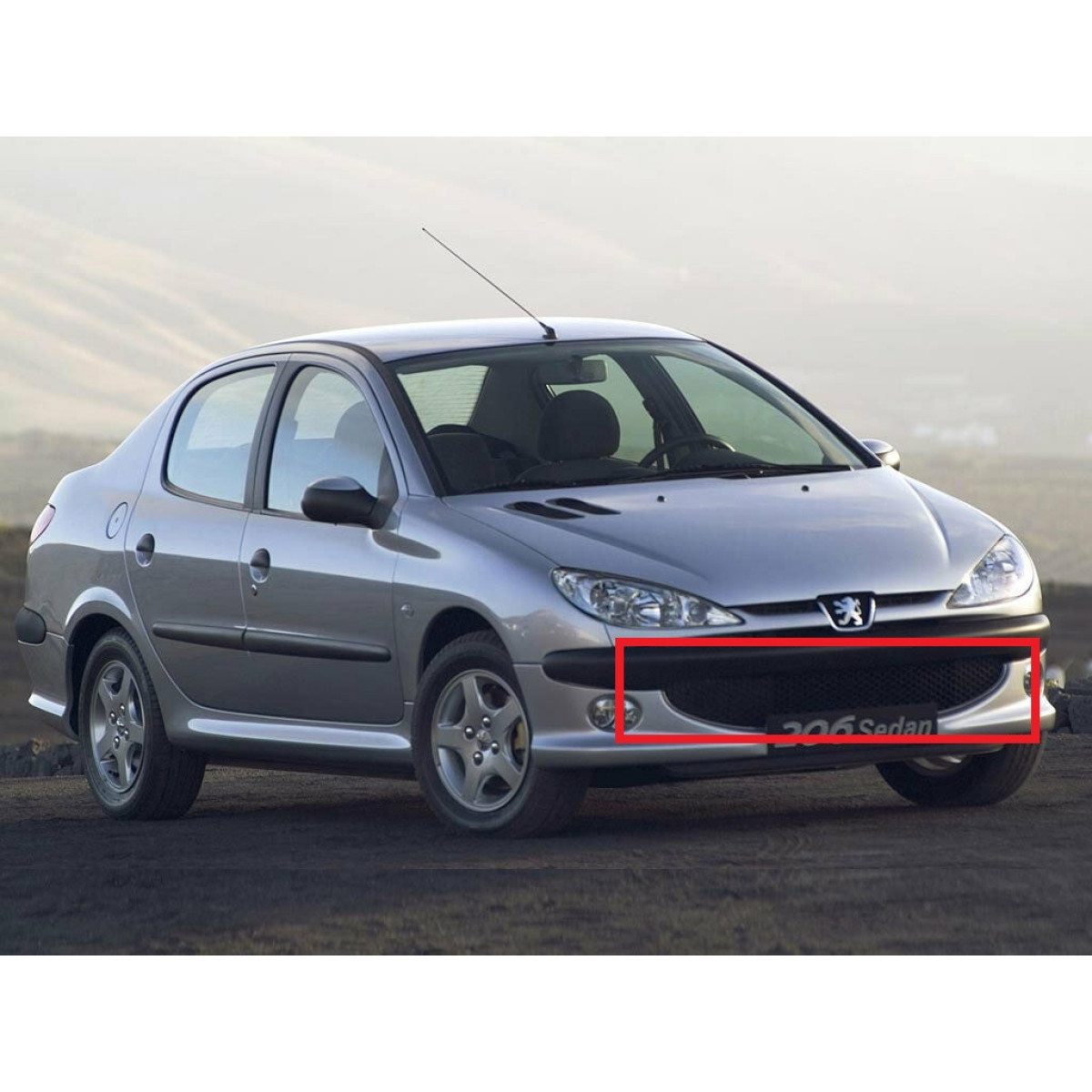 Решітка бампера Пежо 206 - Peugeot 206 - 2003-2009