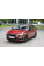 Решітка радіатора Шкода Рапід - Skoda Rapid 2012-