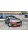 Решітка бампера Форд Фієста 6 - Ford Fiesta 6 - 2013- (комплект)