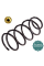 Передня пружина підвіски Ford C-Max - Ford C-Max (1.6) 2003-