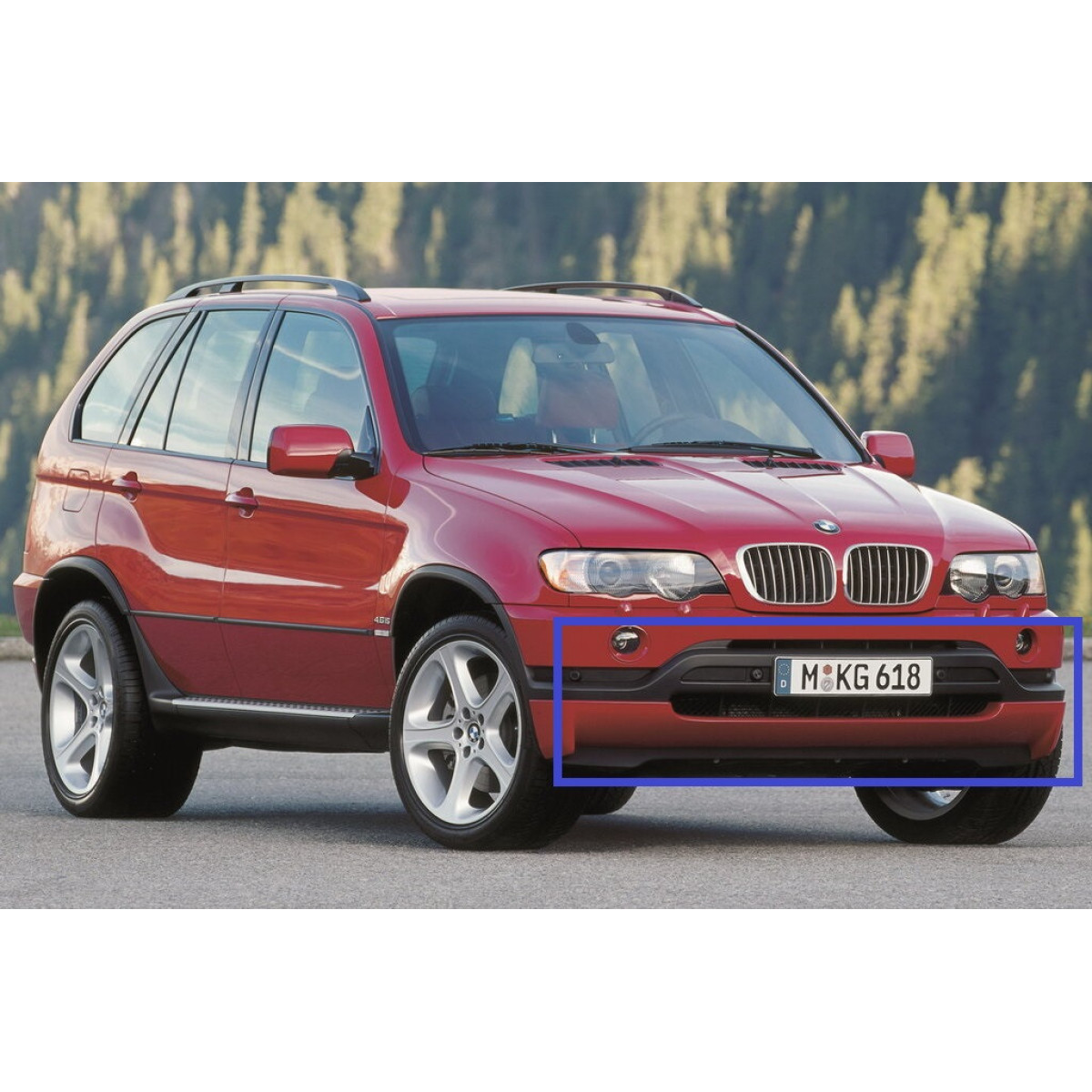 Решітка бампера BMW X5 E53 1999-2003 / POLCAR