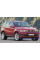 Решітка бампера BMW X5 E53 1999-2003 / POLCAR