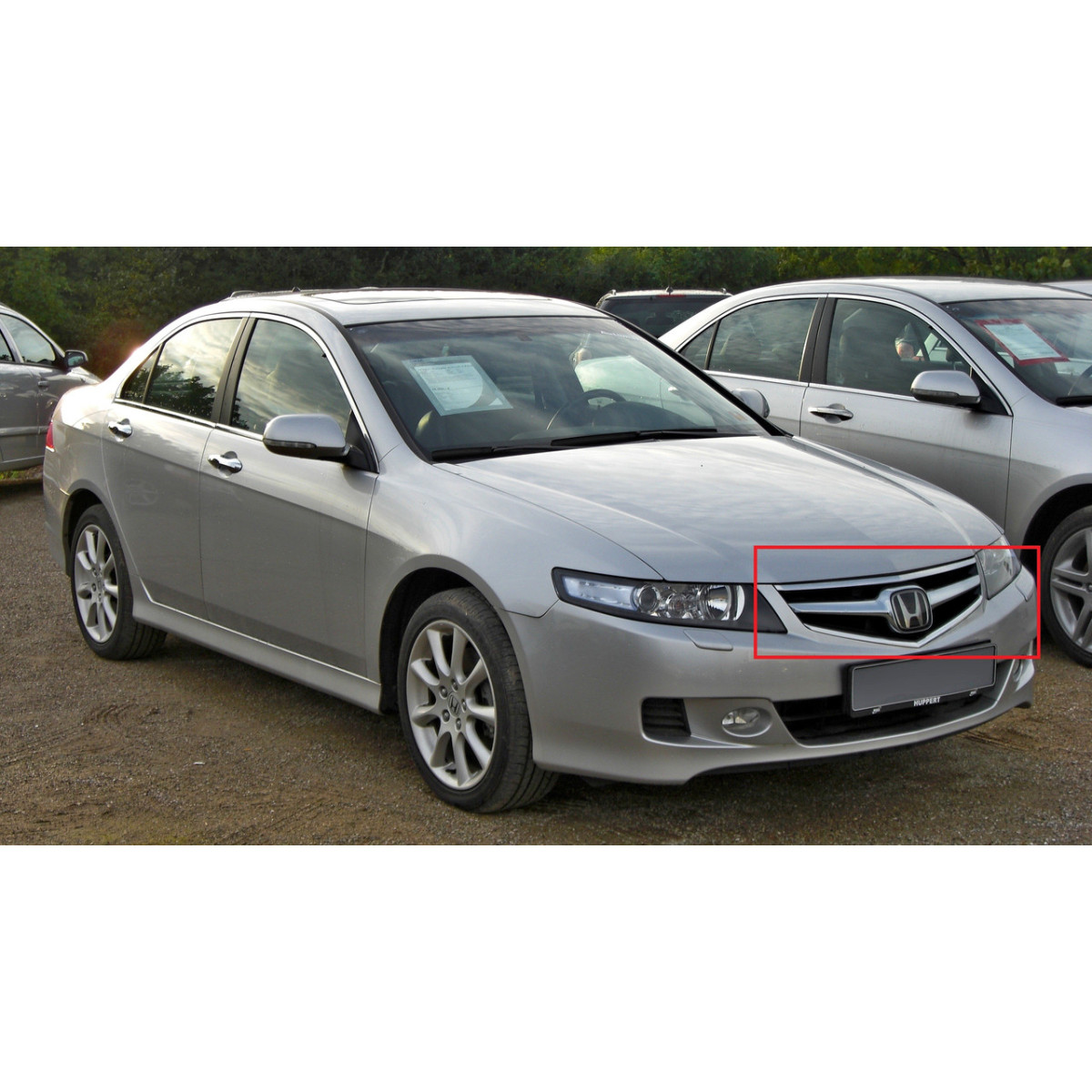 Решітка радіатора Хонда Аккорд 7 - Honda Accord 7 (CL/CM/CN) SDN/комби (EU) - 2002-2005