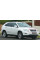 Решітка радіатора Лексус РХ350 - Lexus RX350 (XU30) 2003-2009