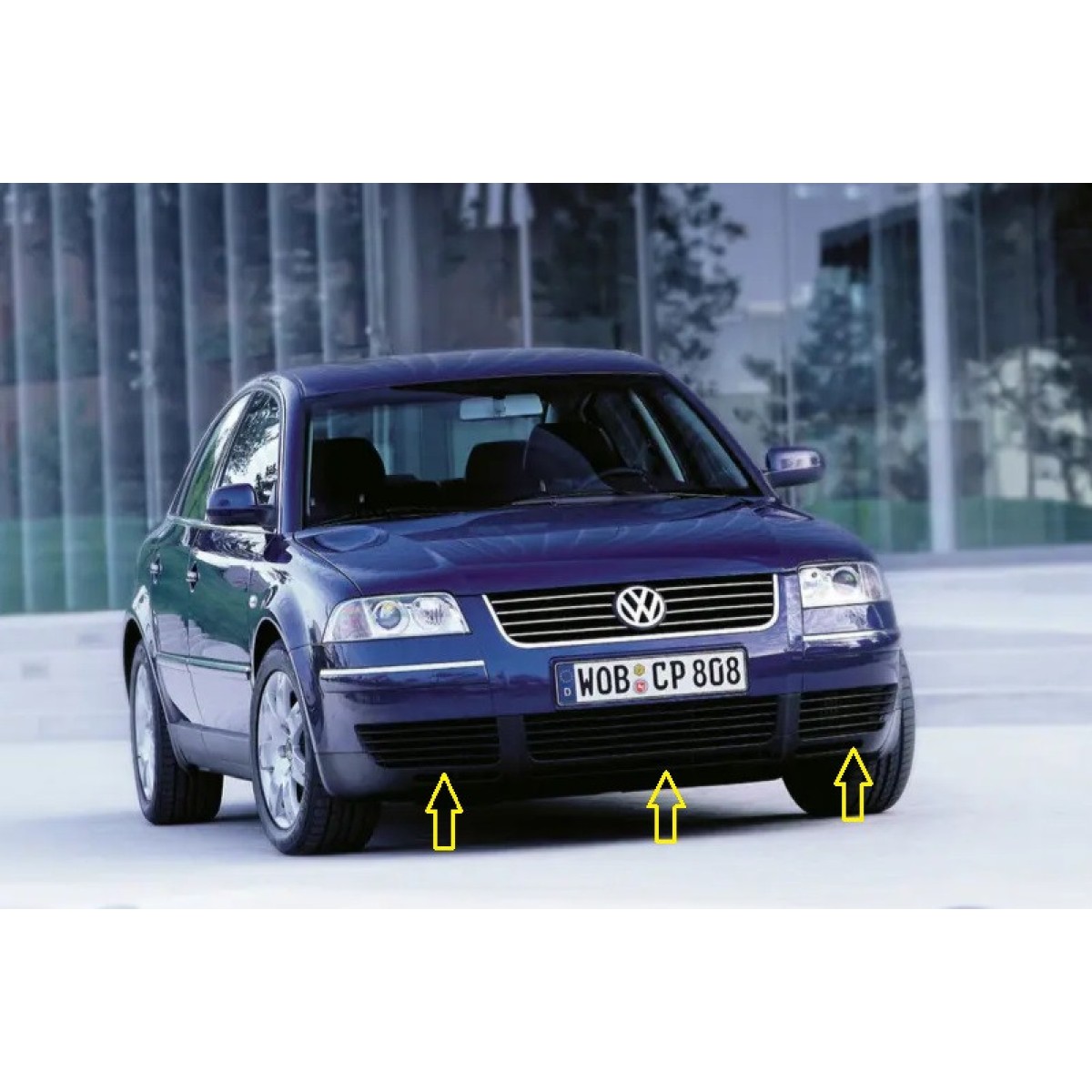 Решітка бампера Фольксваген Пасат Б5 - Volkswagen Passat B5 2000-2005 (комплект)