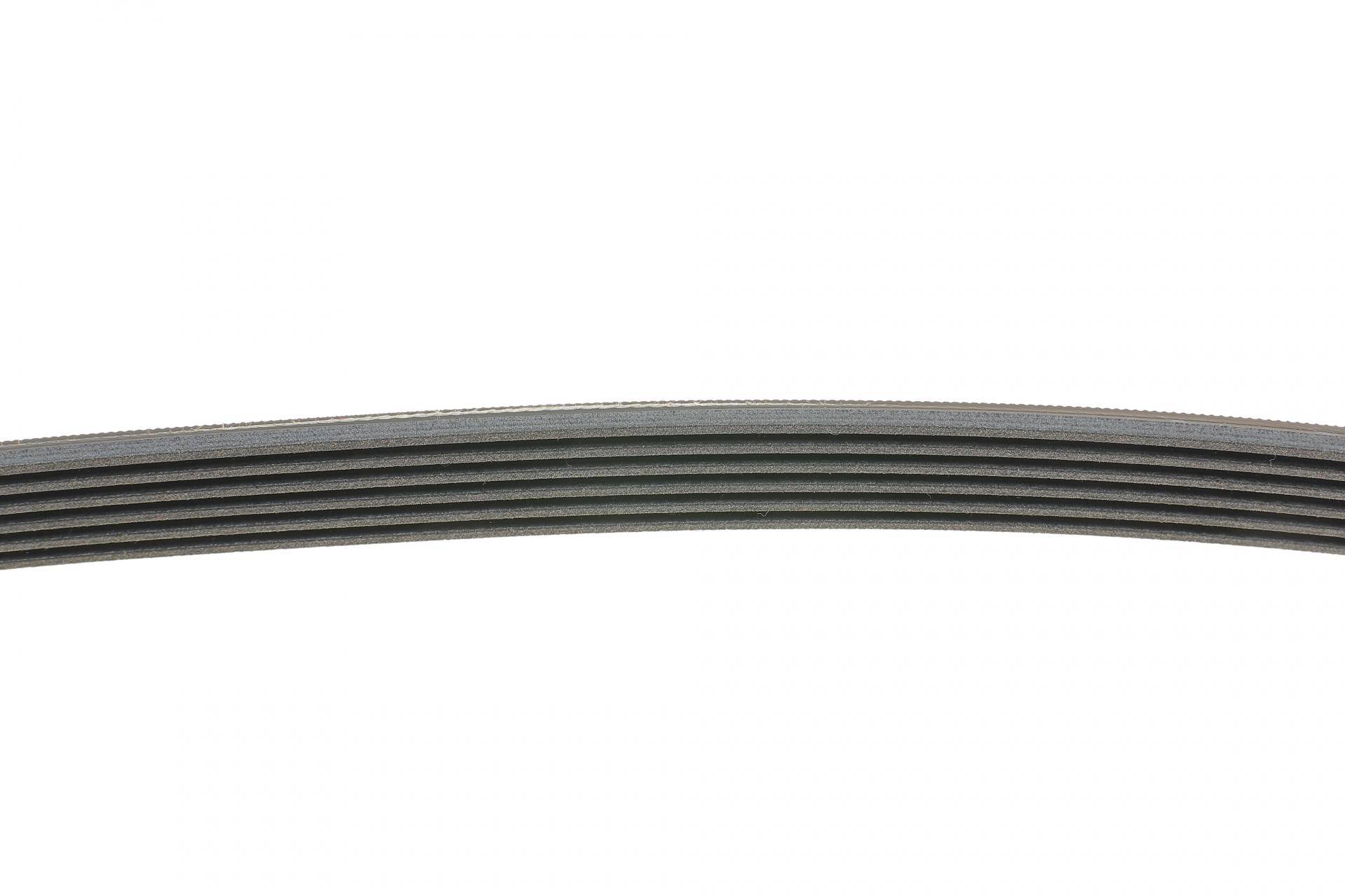 Ремінь генератора VW Caddy/T5 1.9TDI/2.0SDI 04-10/Renault Laguna/Megane/Trafic 1.9dTi/dCi 96-01