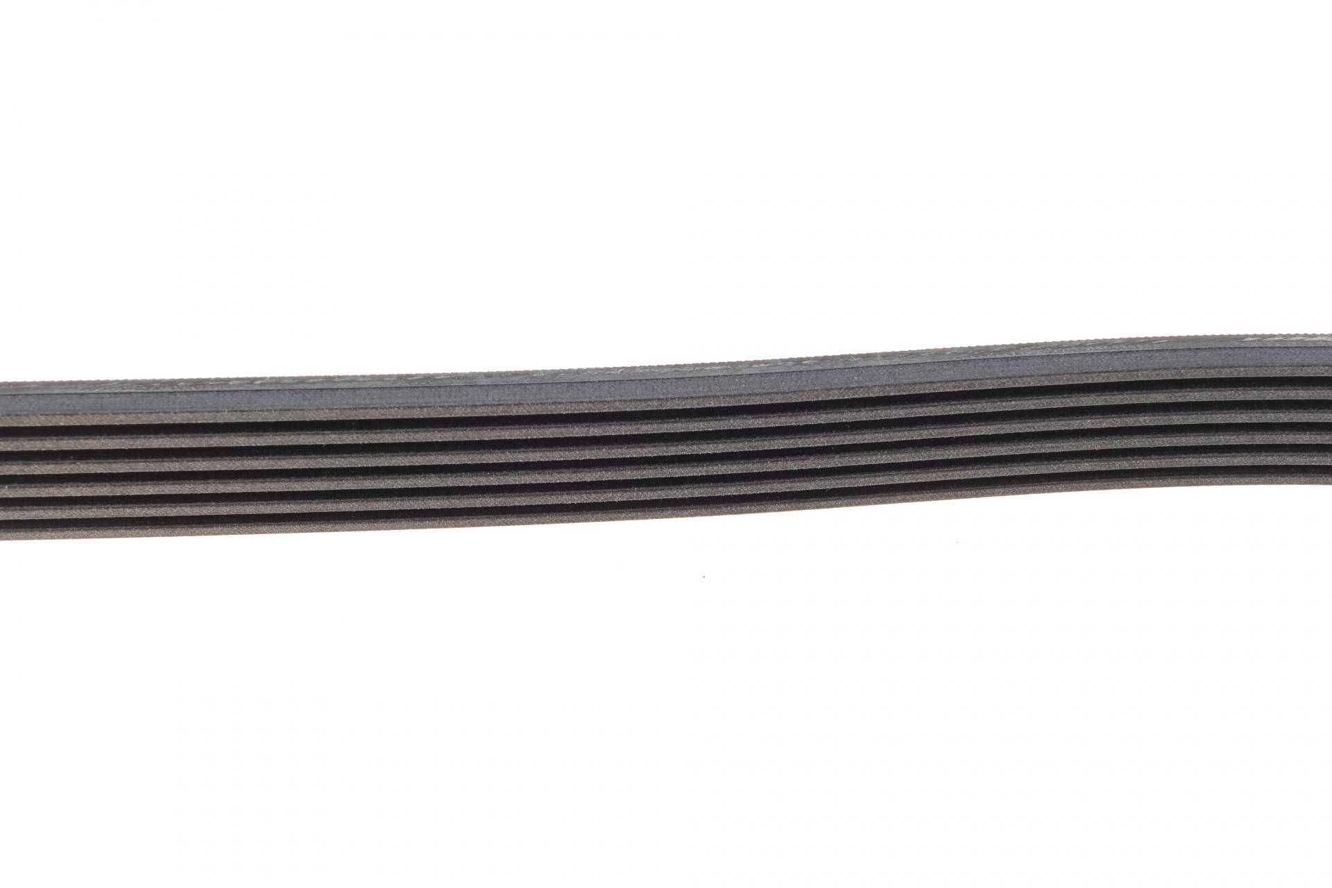 Ремінь генератора Renault Kangoo 1.9D 97-/Mazda 3/6/CX-5 2.2D 12-/Fiat Scudo 2.0 00-06