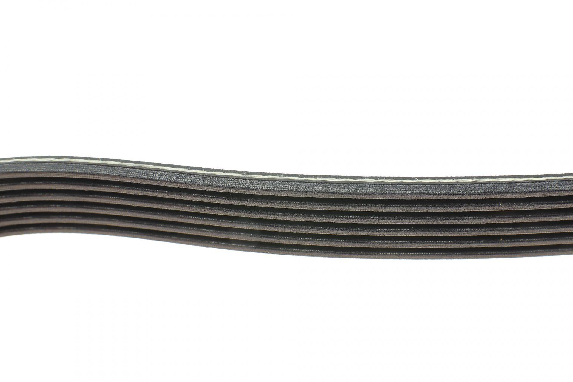 Ремінь генератора Citroen Jumper 1.9TD 94-02 (ALT,PS,AC)