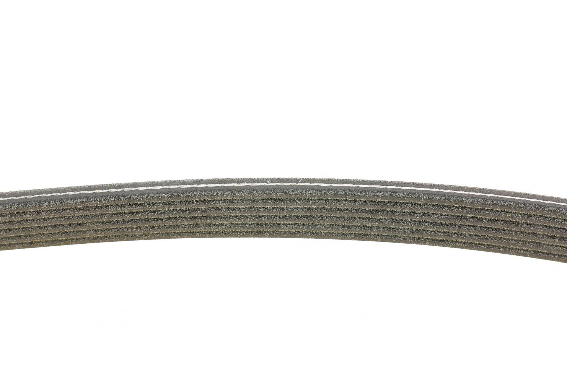 Ремінь генератора VW T5/Sharan 1.9/2.0TDI 00-10/VW Caddy 1.9TDI/2.0SDI 04-10/Seat Alhambra 00-10