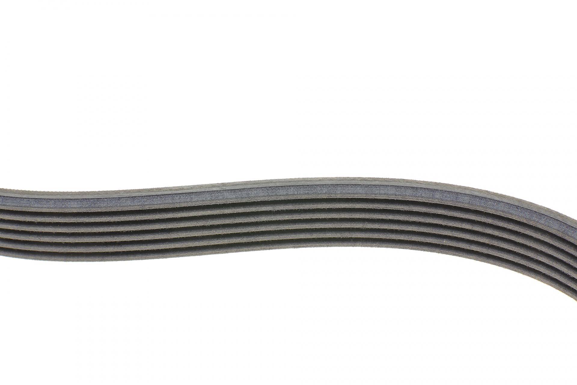 Ремінь генератора Ford Focus 1.4/1.6i 03-/Volvo C30/S40/V50 1.6 05-12 (6PK1059 ELAST+5PK868 ELAST) (к-кт 2шт)
