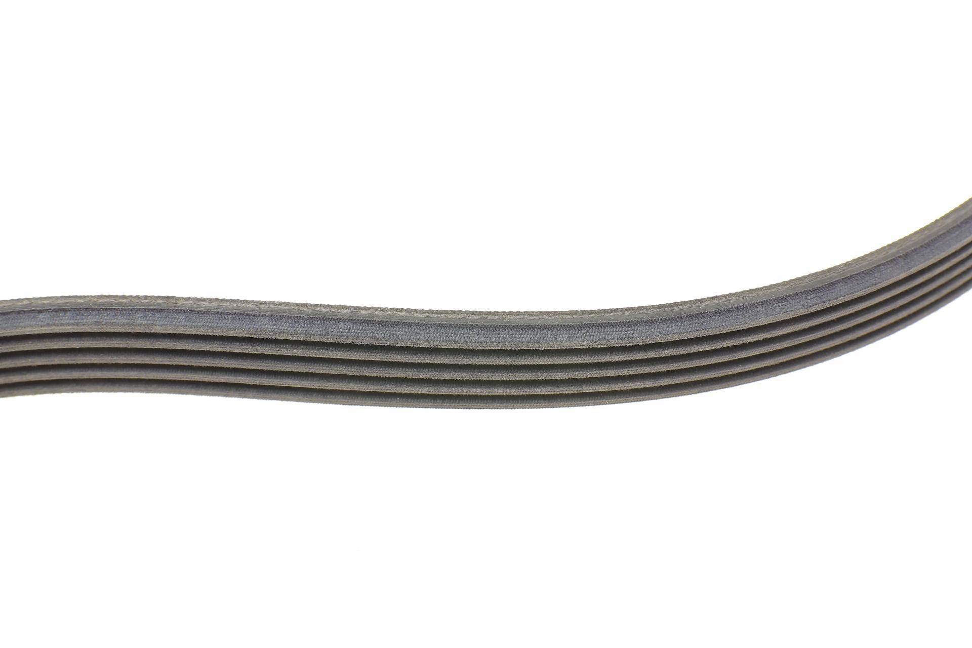 Ремінь генератора Ford Focus 1.4/1.6i 03-/Volvo C30/S40/V50 1.6 05-12 (6PK1059 ELAST+5PK868 ELAST) (к-кт 2шт)