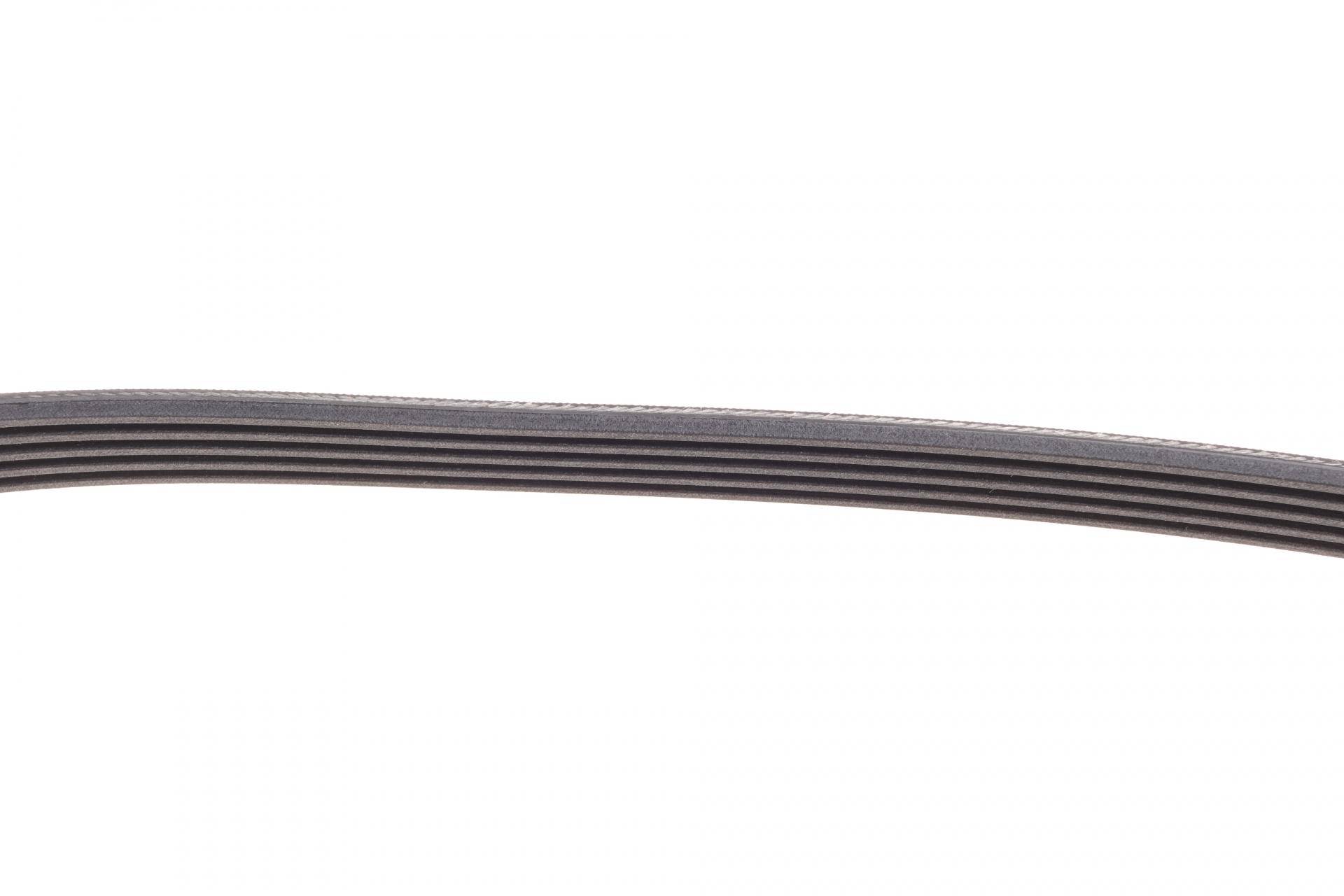Ремінь генератора BMW 5 (E34)/7 (E38)/Citroen BX/Daewoo Lanos/Nexia 85-01(5PK975)
