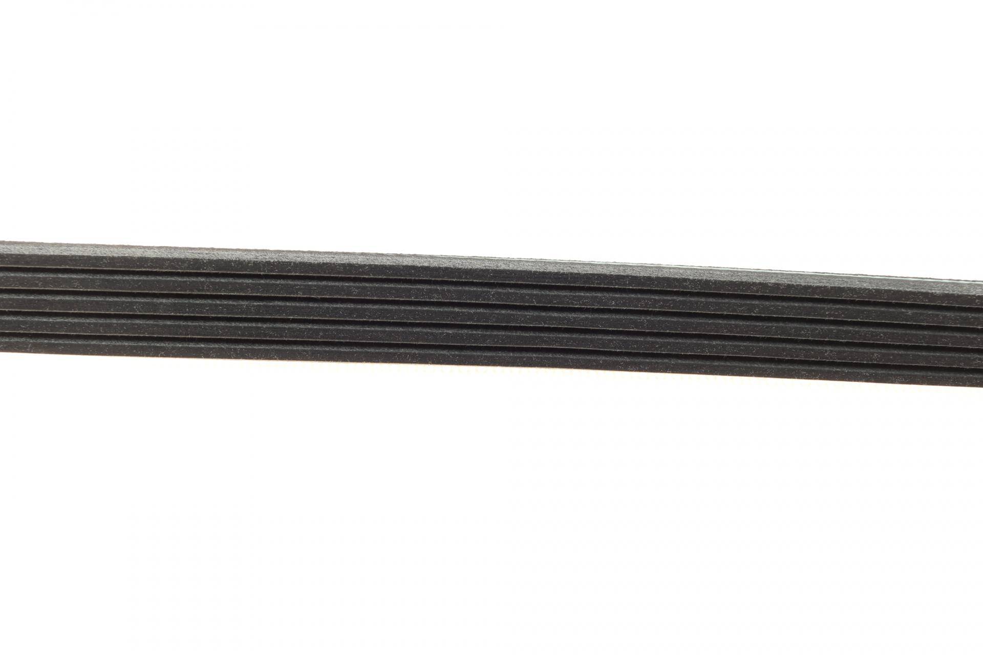 Ремінь генератора BMW 3 (E36)/5 (E34/E39) 95-03 (M52) (5PK905)