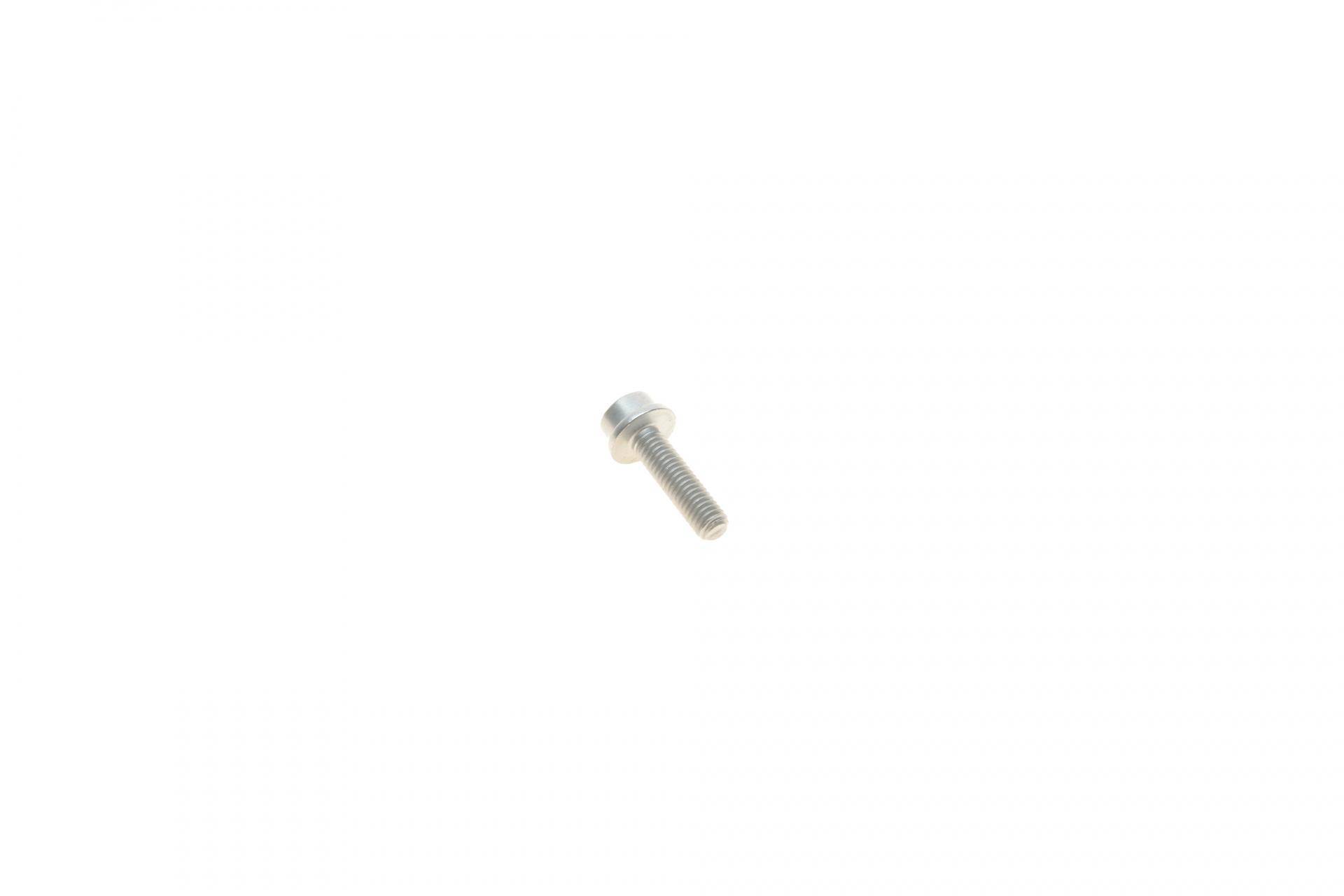 Болт піддону масляного Audi A3/A4/A5/A6/Q3/VW Caddy/Golf/Passat 96- (M6x22)