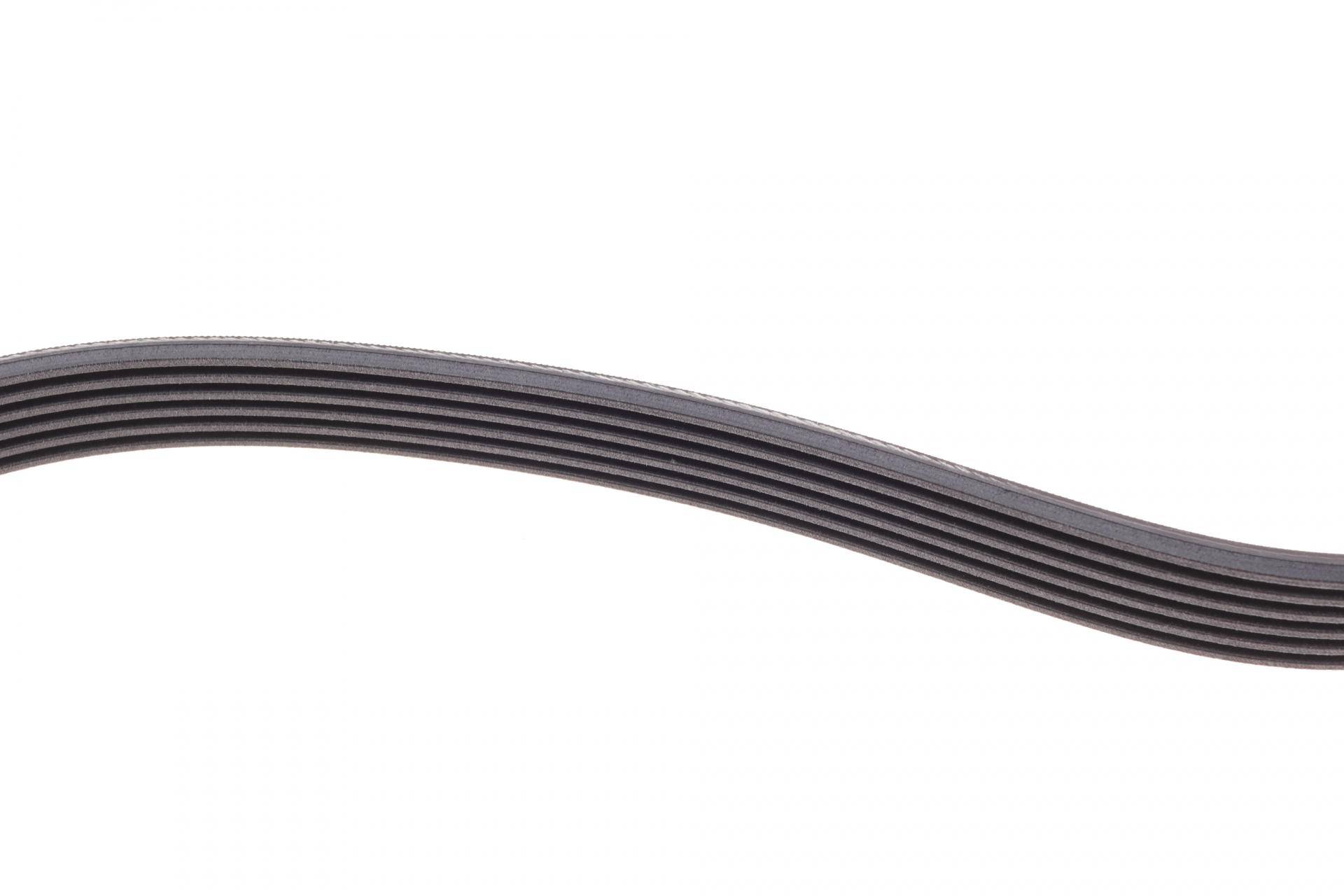 Ремінь генератора VW Caddy/Golf/Skoda Octavia 1.6/2.0 04-15/Fiat Ducato 2.5TDI 94-02/Scudo 1.6 96-06