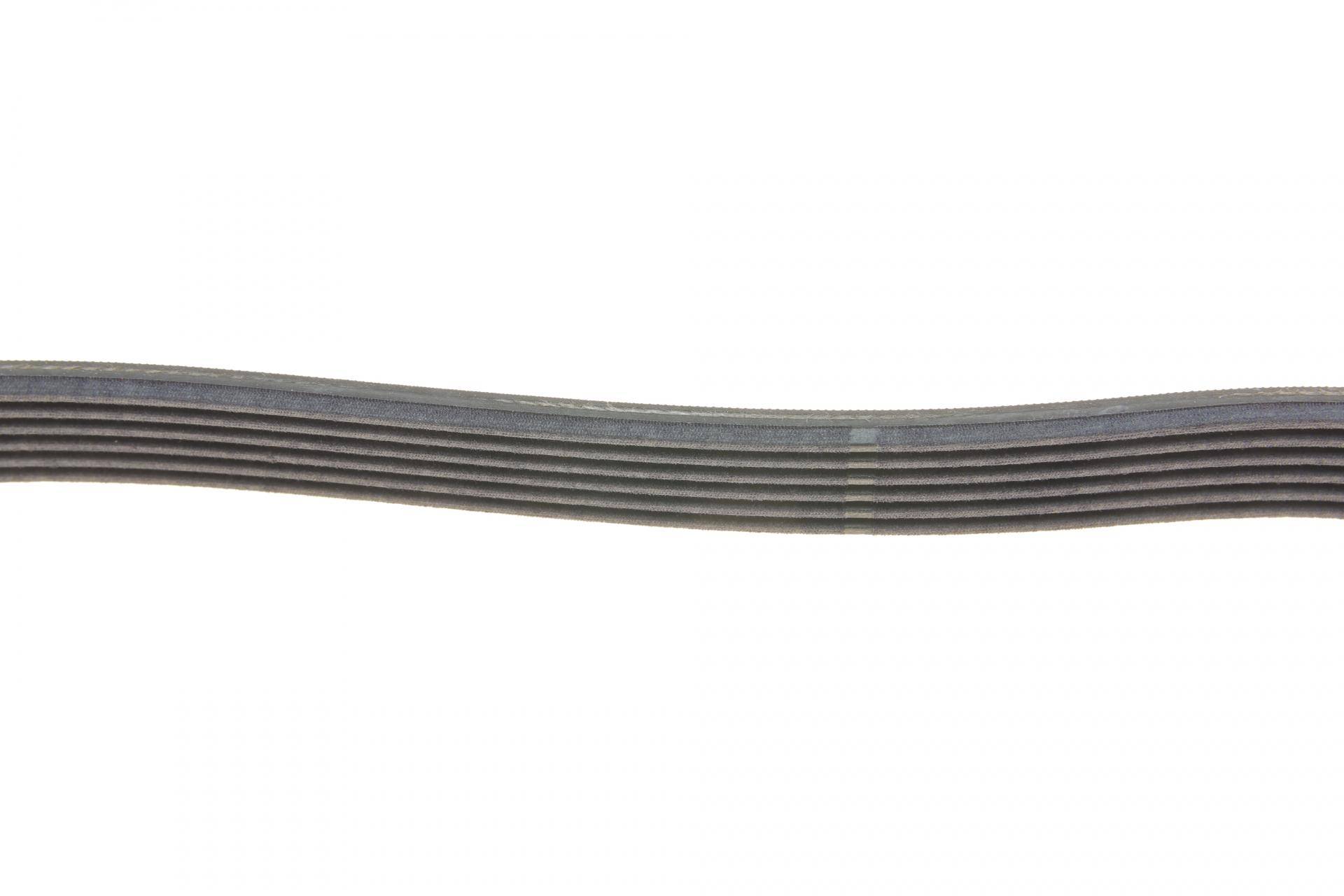 Ремінь генератора Ford Focus 1.4/1.6i 03-/Volvo C30/S40/V50 1.6 05-12 (6PK1059)