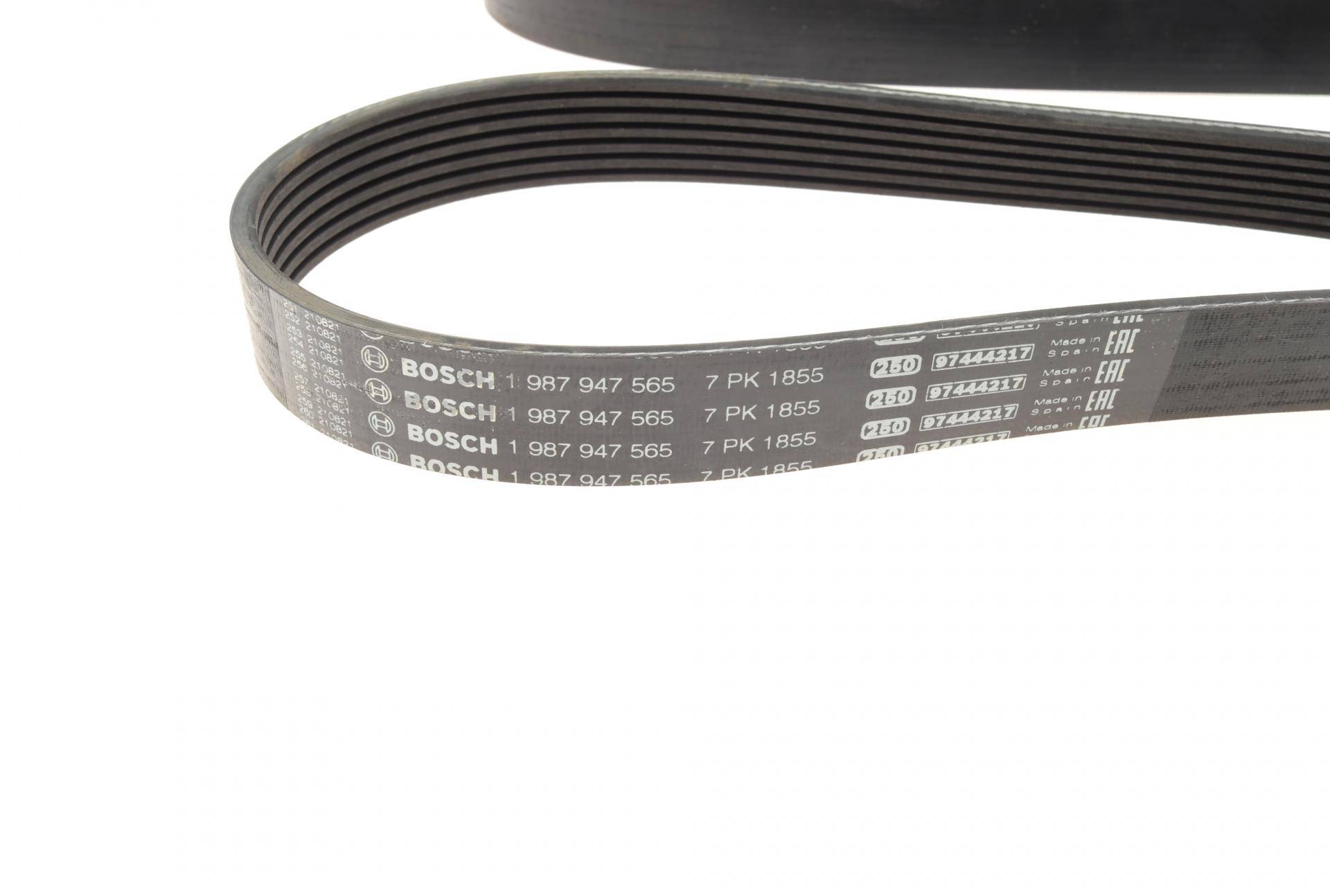 Ремінь генератора BMW 3 (E90) 06-11 (M54) (7PK1855)