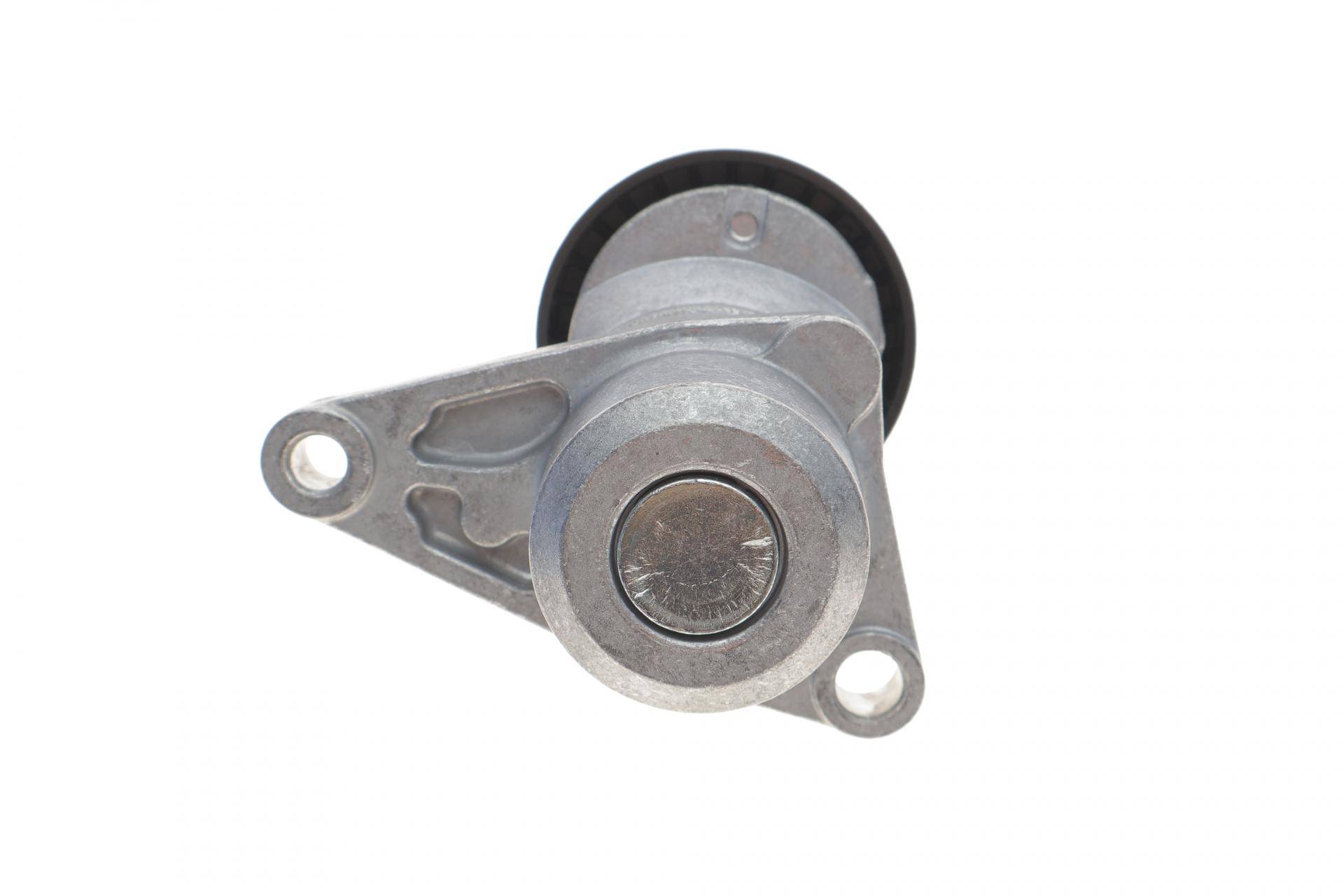 Натяжник ременя генератора Citroen C2/C3/C4/Peugeot 207/307 1.1-1.6 00-