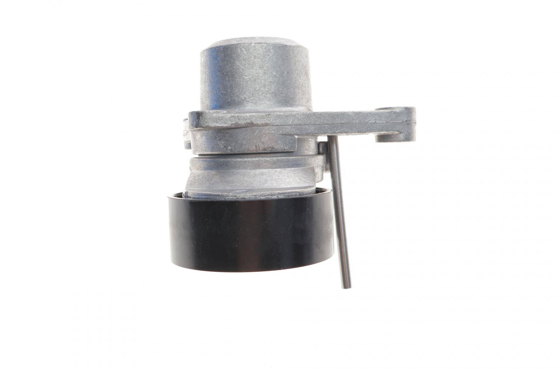Натяжник ременя генератора Citroen C2/C3/C4/Peugeot 207/307 1.1-1.6 00-