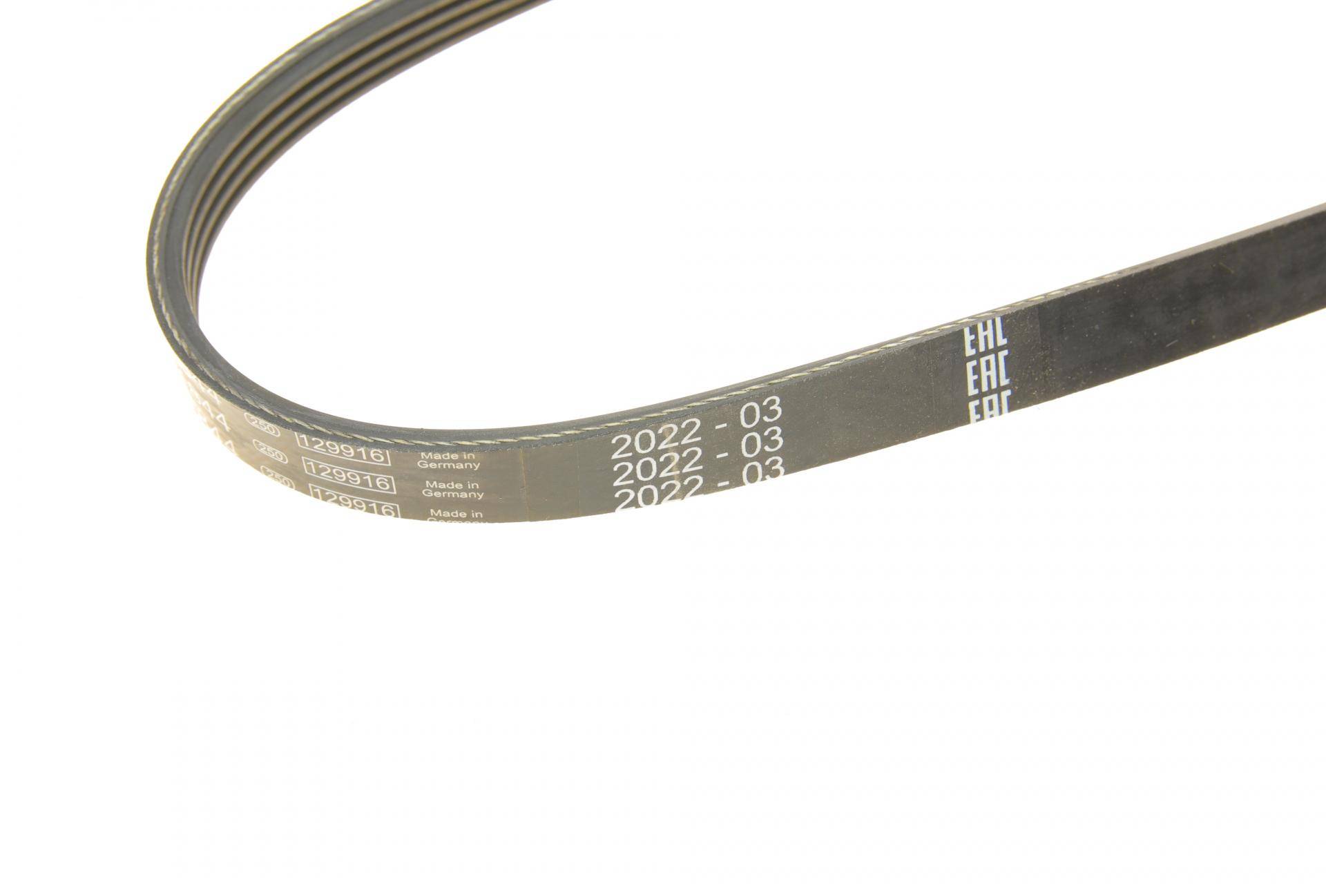 Ремінь генератора BMW 5 (E60) N62 03-09 (4PK844)