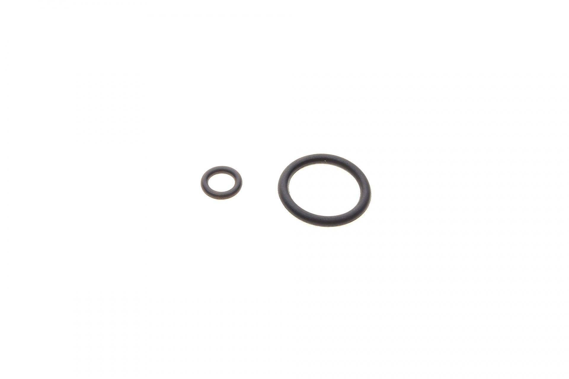 Ремкомплект супорта (заднього) Nissan Cabstar/NT400 06- (d=46) (Brembo) (+поршень)
