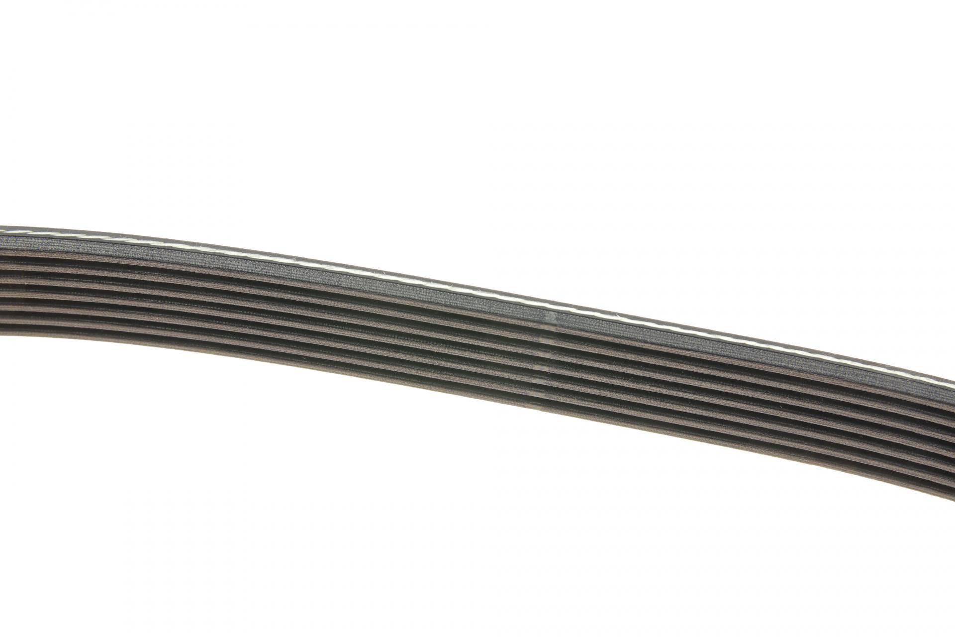 Ремінь генератора BMW 7 (E65) 4.0/4.5D 02-08/Honda Accord/Civic 2.0 01-08