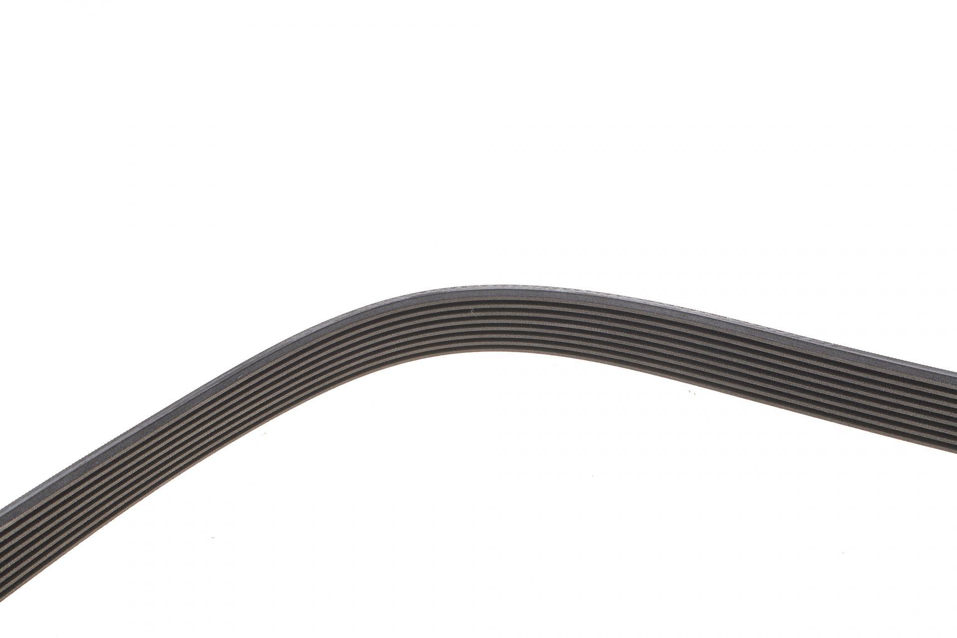Ремень генератора Mazda CX-7 2.2D 09-13 (8PK1295)