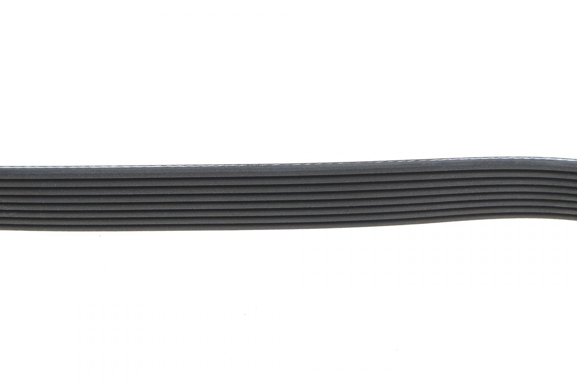 Ремінь генератора Land Rover Discovery 4.4 04-09/Range Rover 4.4 05-13