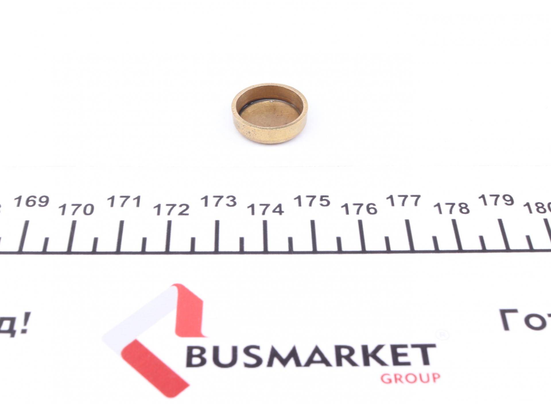 Заглушка блоку циліндрів (d=17,4mm) Латунь/Brass