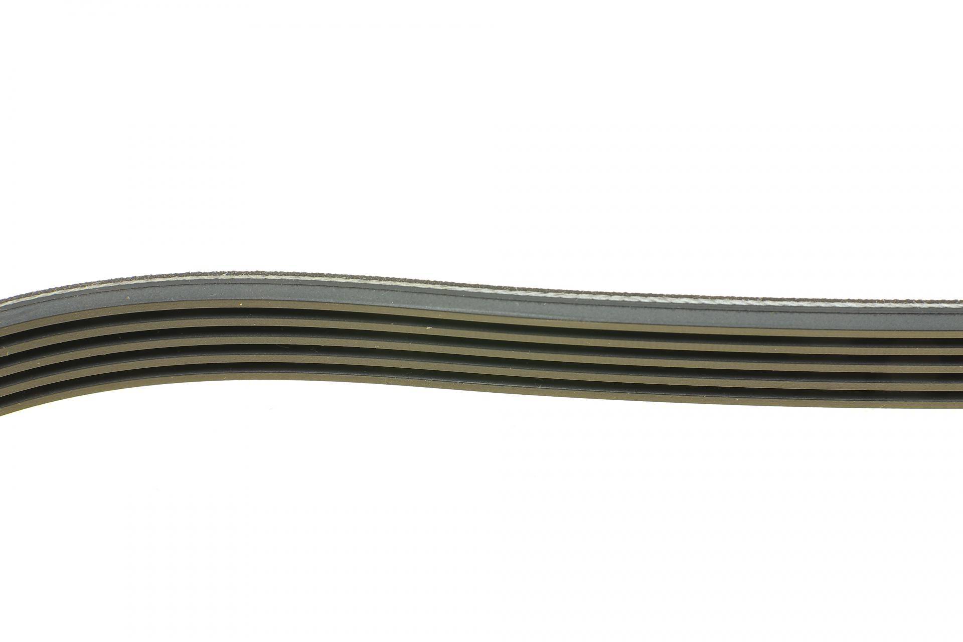 Ремінь генератора BMW 5 (E39)/7 (E38) 2.5TDS 96-04/Kia Cerato/Rio/Hyundai Accent 1.5/1.6CRDI 05-