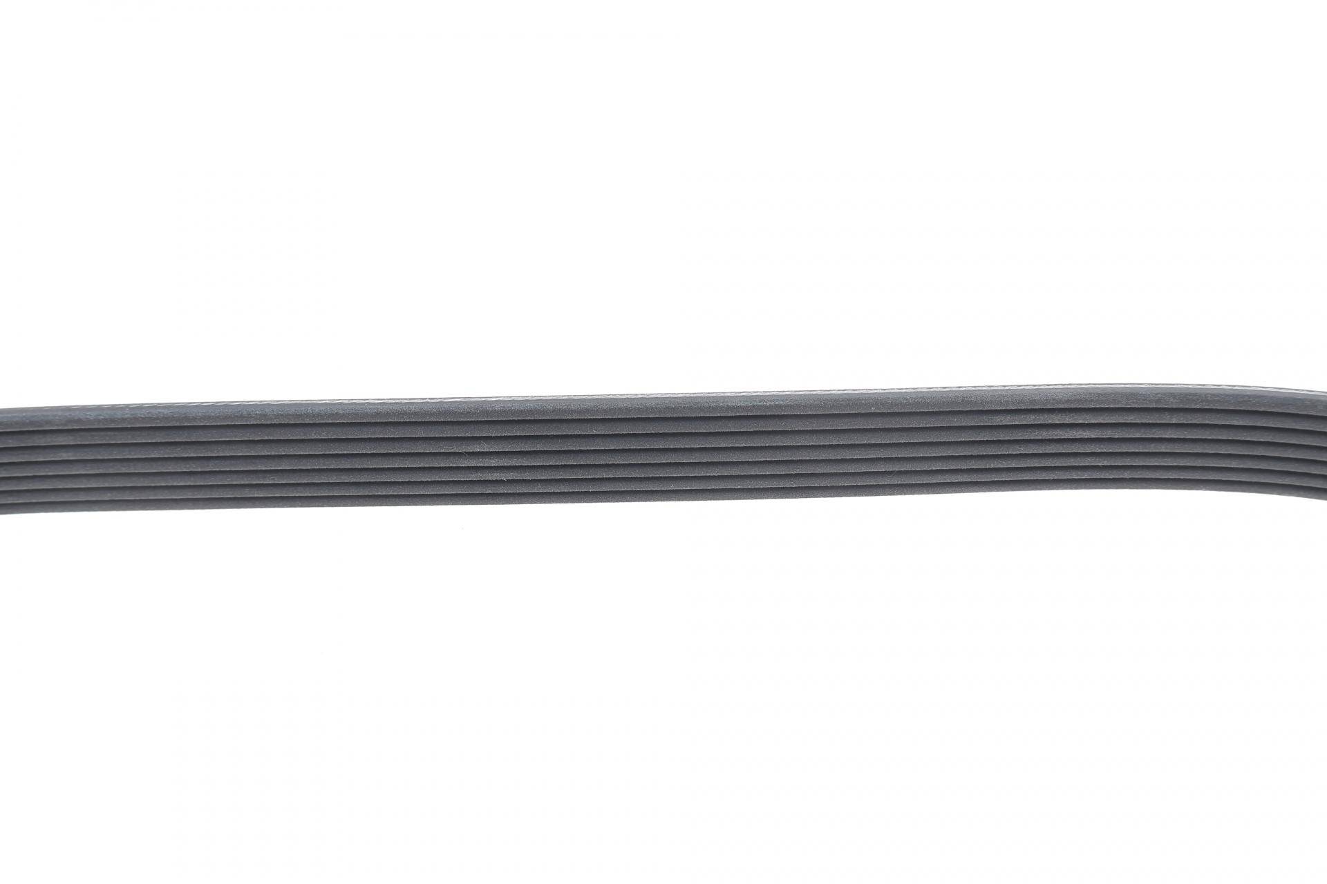 Ремінь генератора Renault Clio 1.2 16V 05-14 (7PK880)