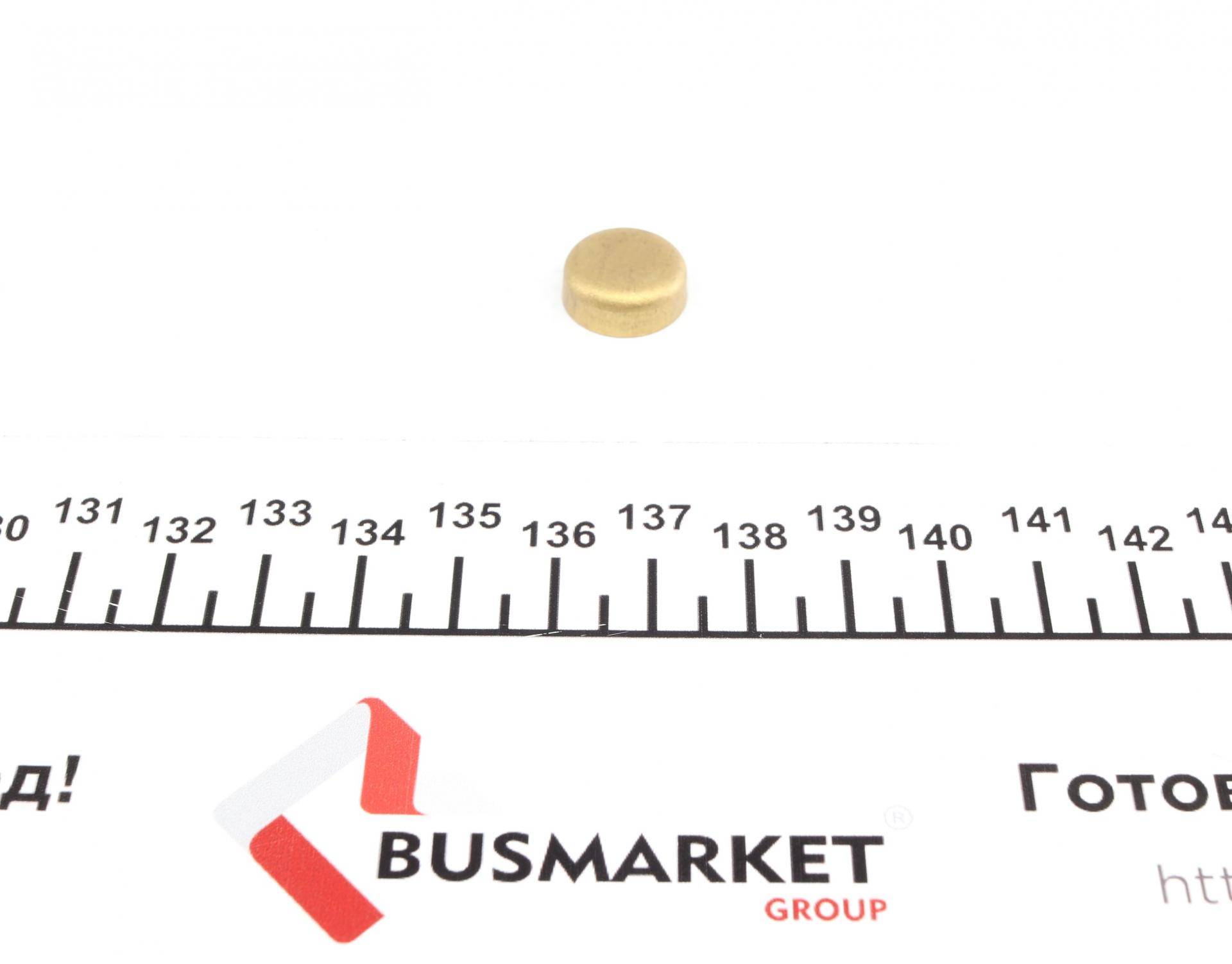 Заглушка блока цилиндров (d=14,5mm) Латунь/Brass