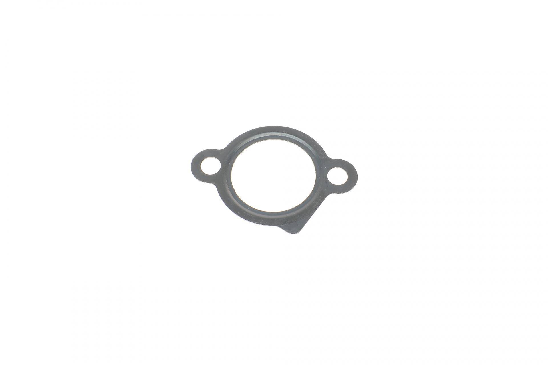 Натяжник ланцюга ГРМ Toyota Avensis 2.0-2.4 00-08/Camry 2.4 01-06/Rav 4 2.0-2.4 00-13
