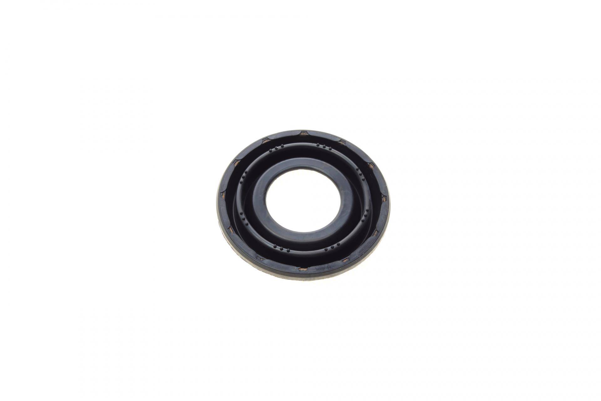 Ремкомплект супорта (заднього) Ford Mondeo 2.0DI 00-07 (d=38mm) (Bosch) (+поршень/направляюча)