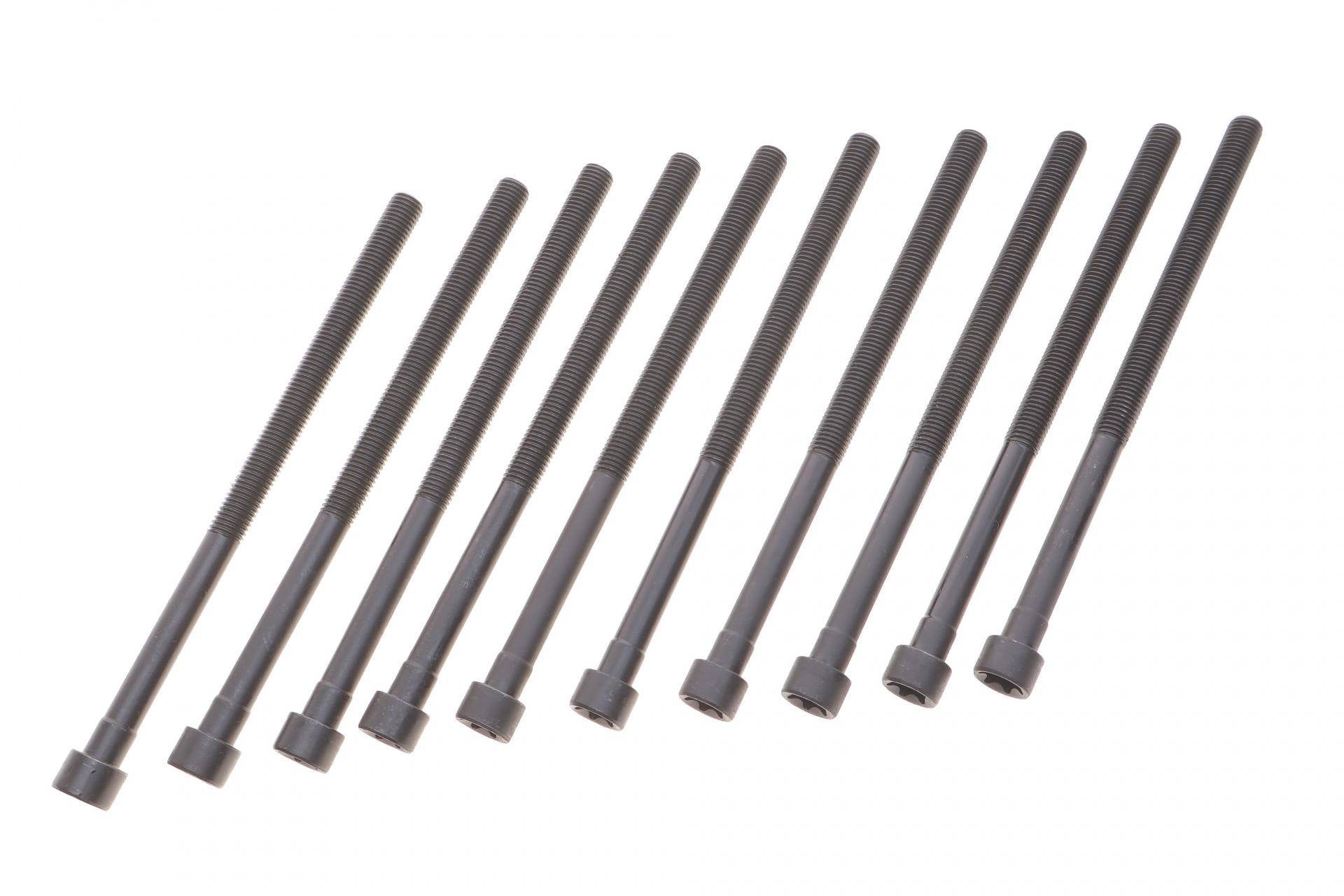 Комплект болтів гбц (10 шт) BMW 3 (F30/F80)/5 (G30/F90)/X3 (G01/F97) 15- B46/B48