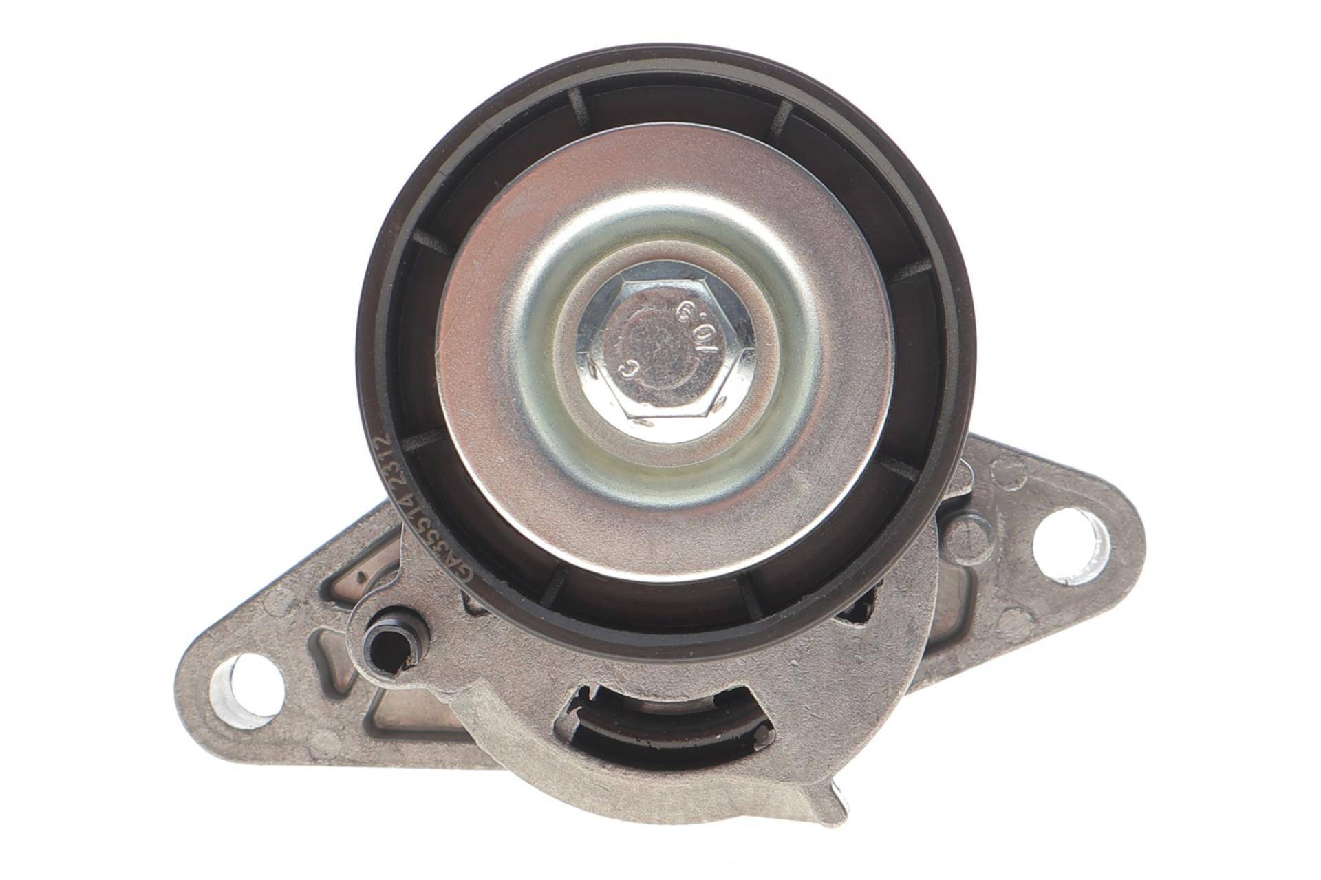 Комплект ременя генератора Renault Megane/Scenic 00-09, (5PK1750)