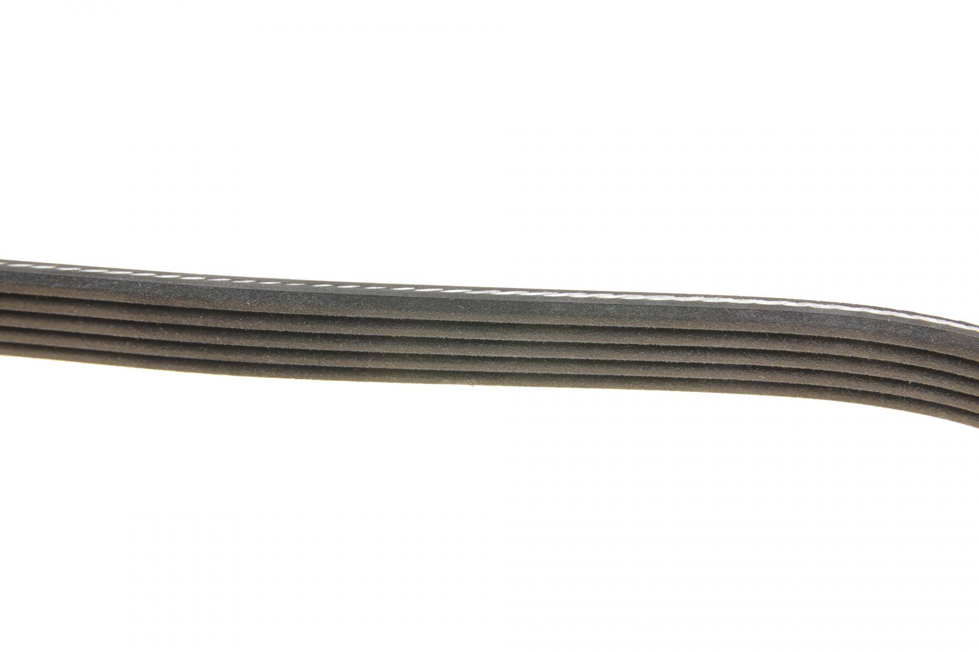 Ремінь генератора Opel Omega B 2.5DTI 01-03