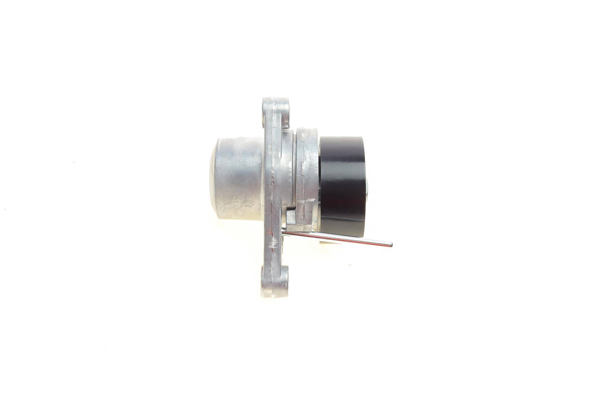 Натяжник ременя генератора Citroen C2/C3/C4/Peugeot 207/307 1.1-1.6 00-