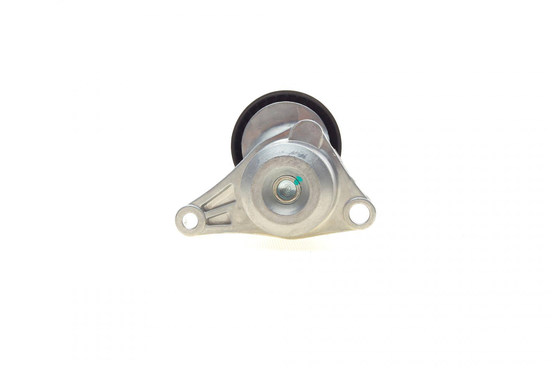 Натяжник ременя генератора Citroen C2/C3/C4/Peugeot 207/307 1.1-1.6 00-