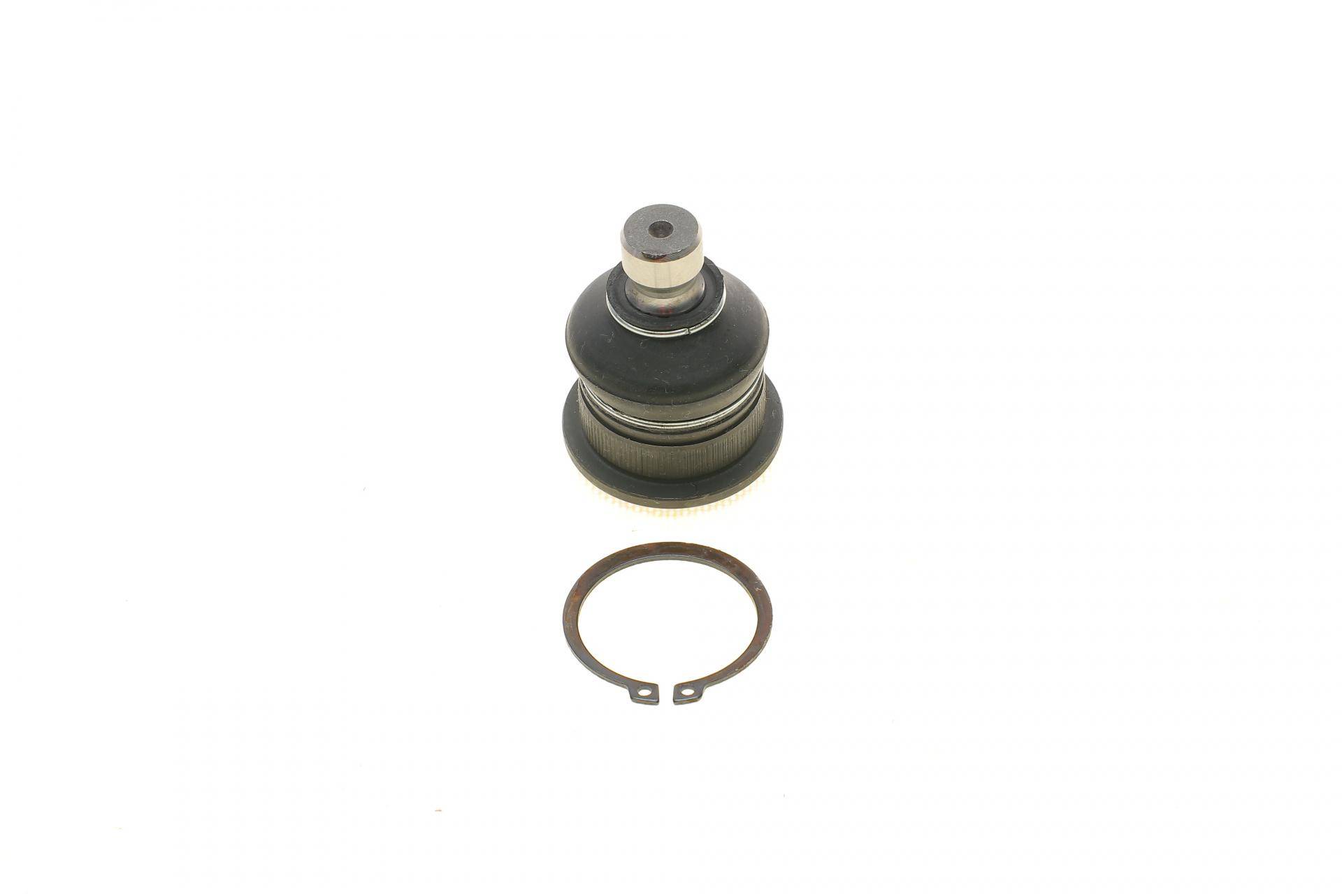 Опора кульова (передня/знизу) Renault Megane II/Scenic 02- (d=16mm)