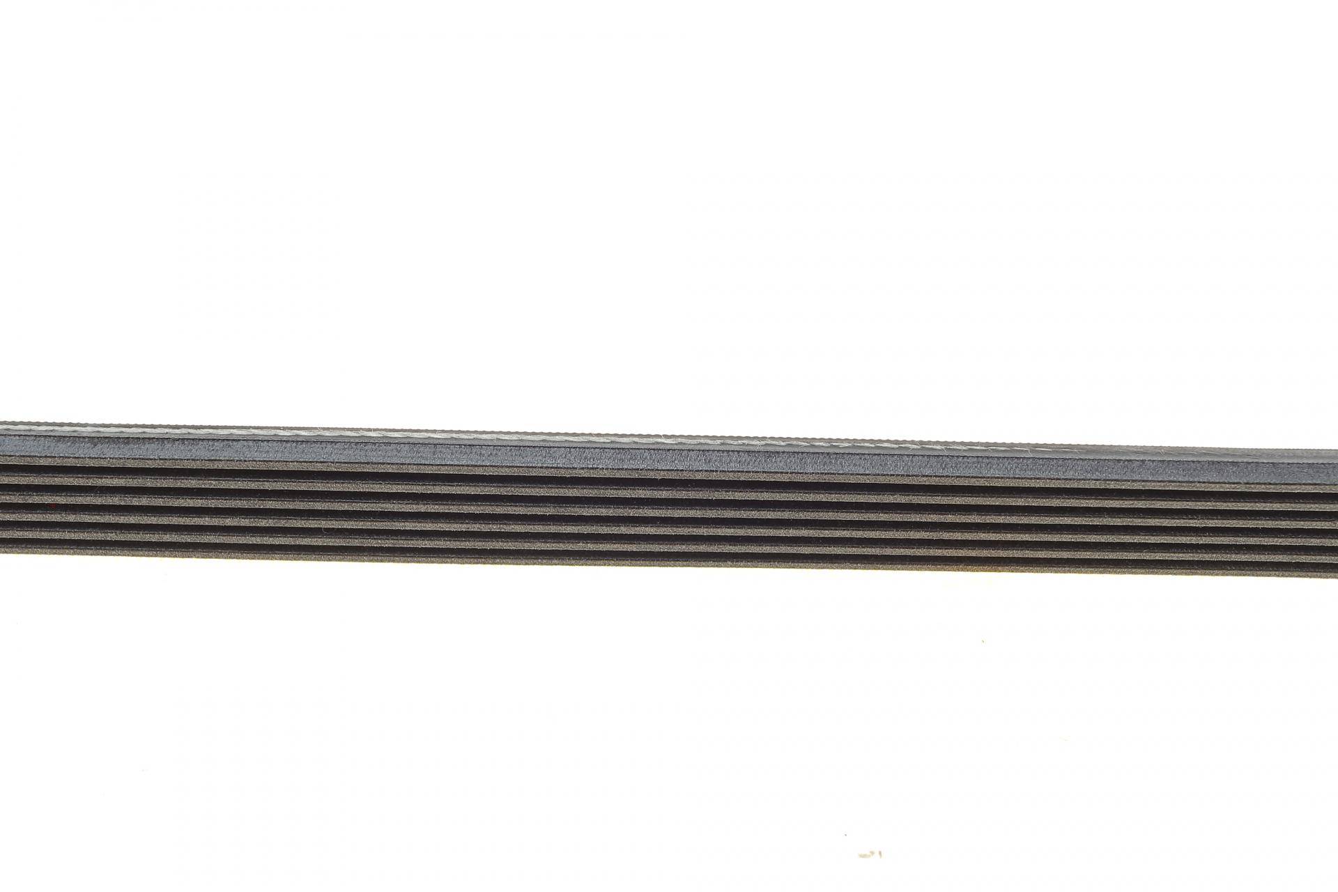 Ремінь генератора MB C-class (W202/W204)/E-class (W210/W212)/S-class (W221) 1.8/2.2 94-14