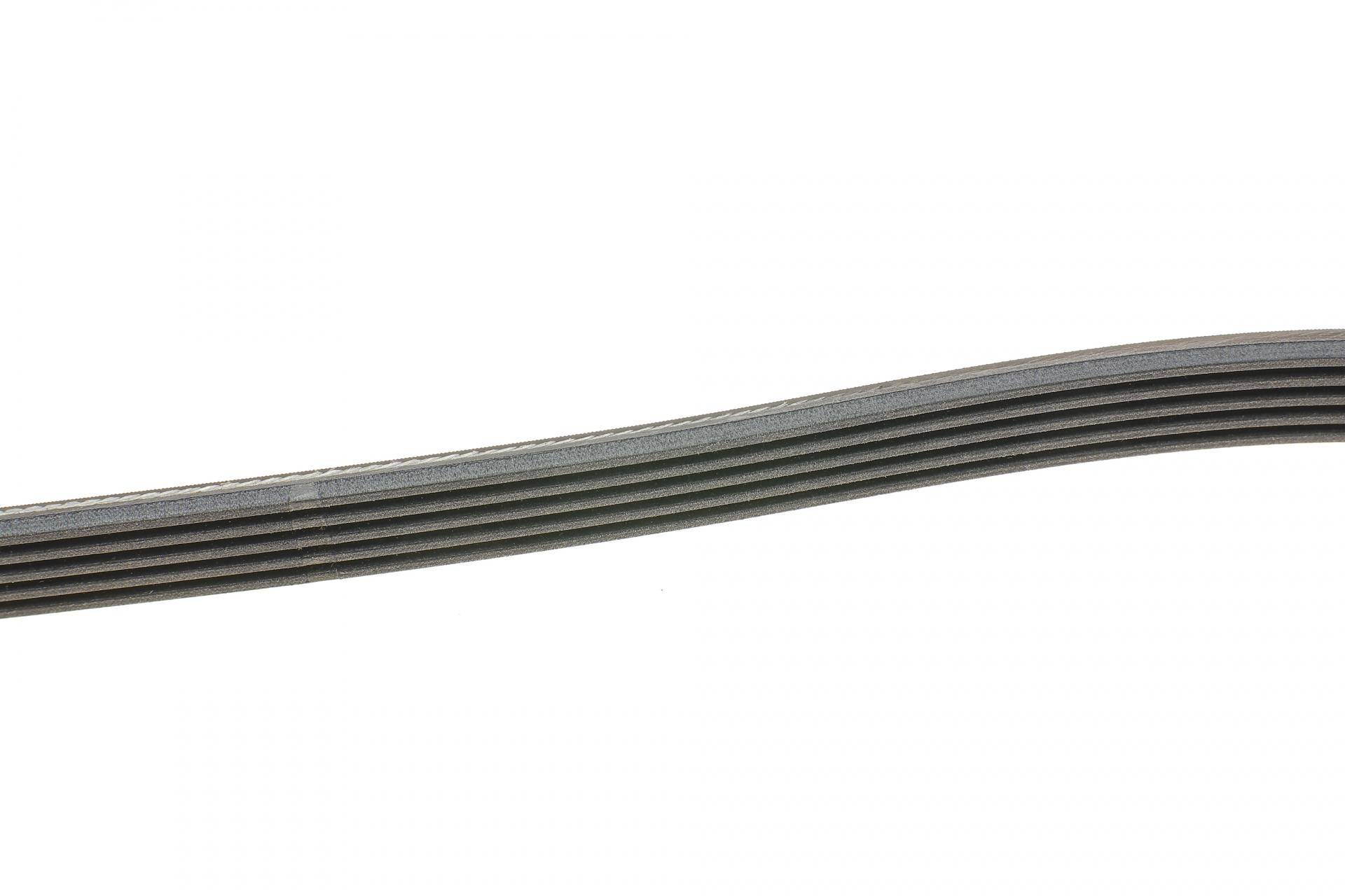 Ремінь генератора Opel Vectra C 1.6/1.8 05-08/Chevrolet Aveo 1.4 08-
