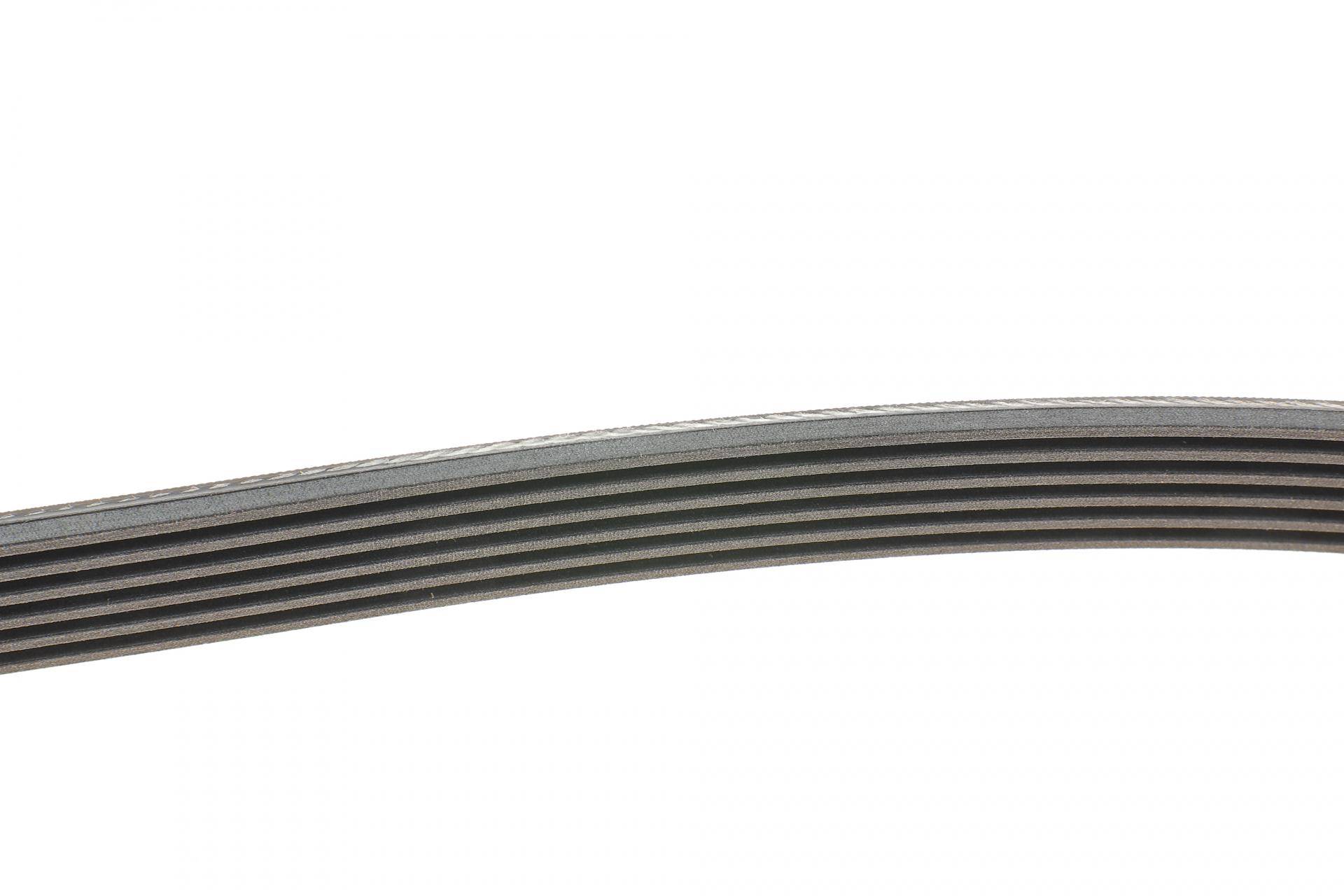 Ремінь генератора MB C-class (W202) 93-01/E-class (W124) 93-98/Ssangyong Korando 96-06/Dodge 06-