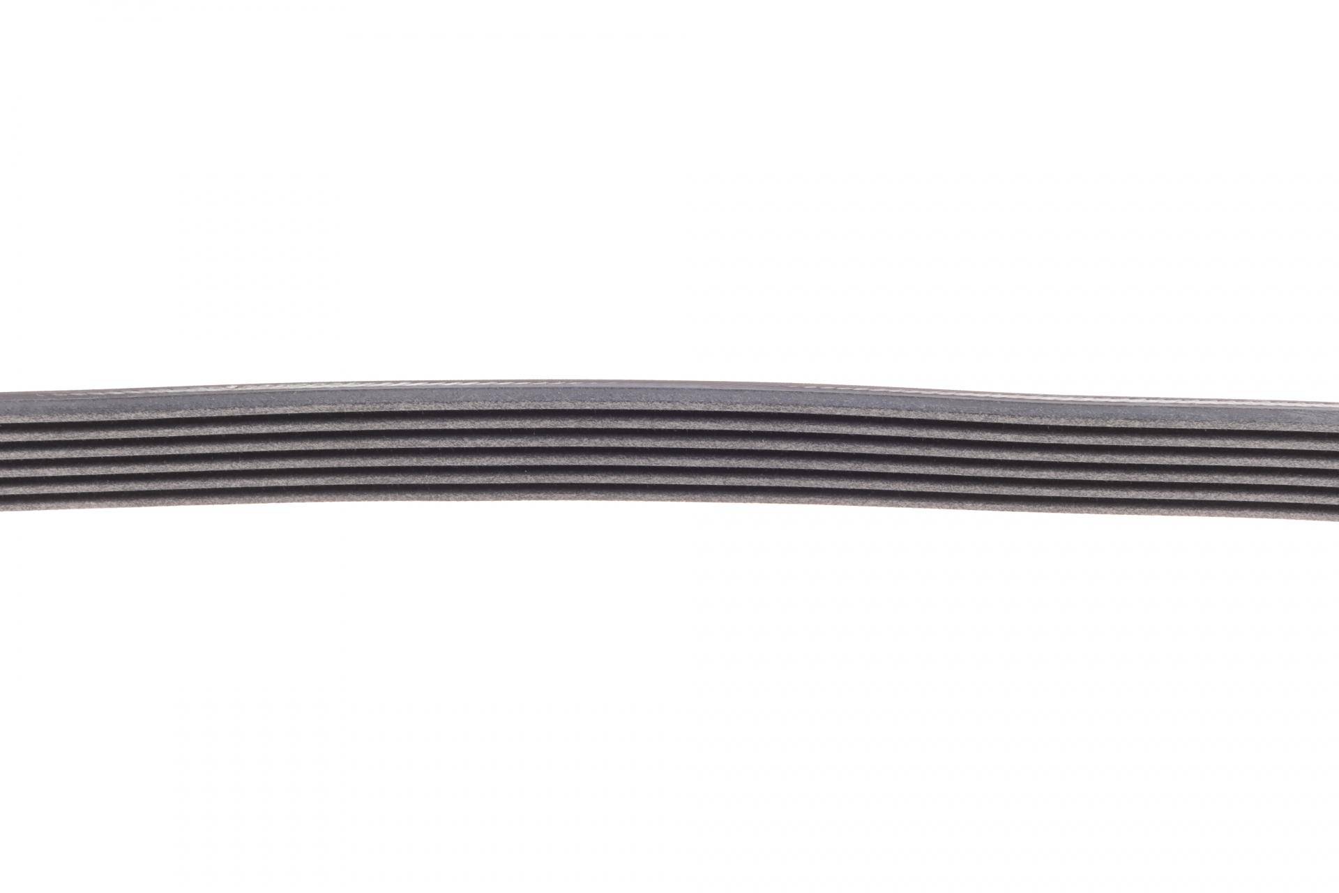 Ремінь генератора Audi/Skoda Octavia/VW Golf/Passat B6 2.0TFSI/RS/GTi/FSI 04-13/Fiat Doblo 1.9D 01-